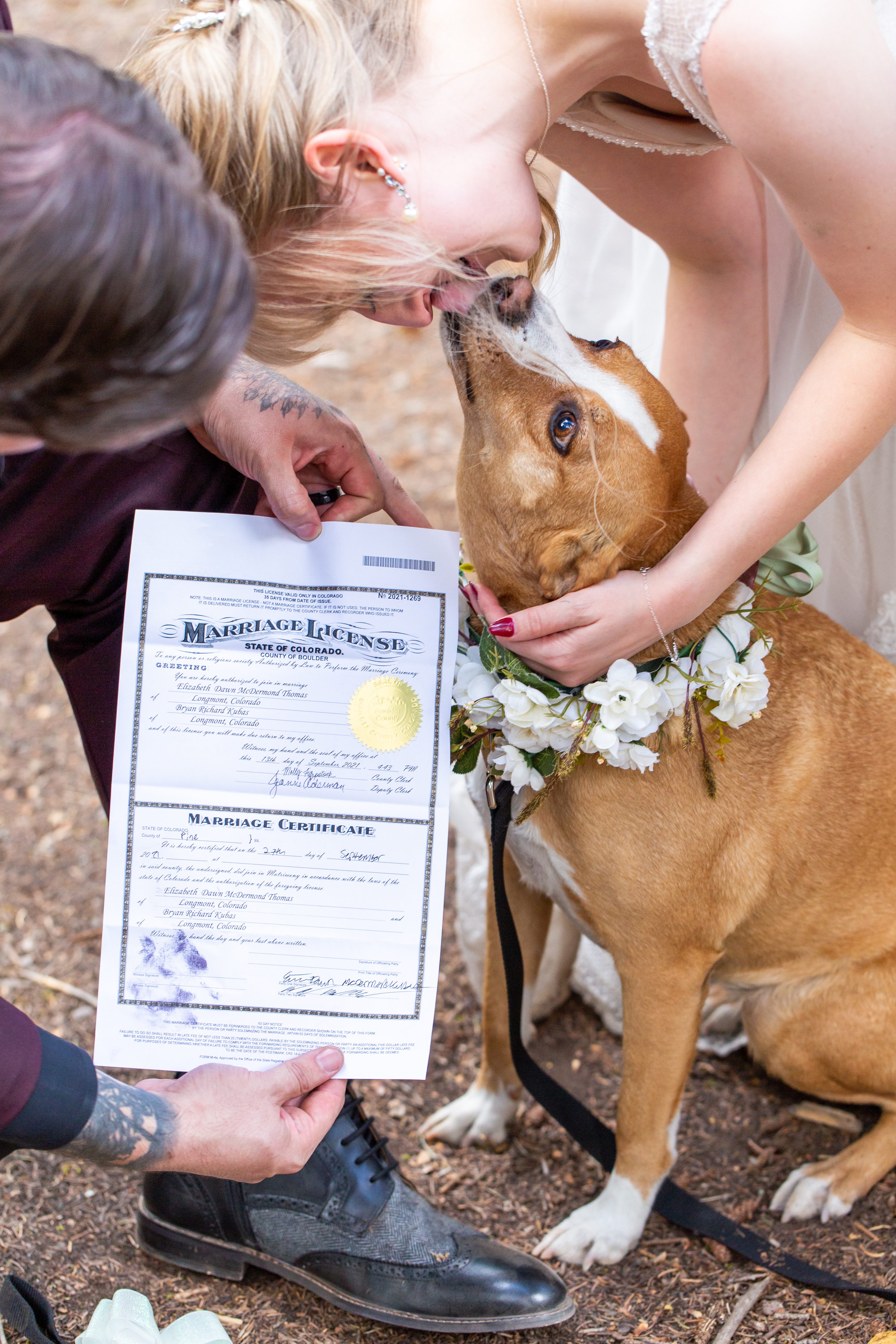 Can a Dog Be a Witness for a Wedding 
