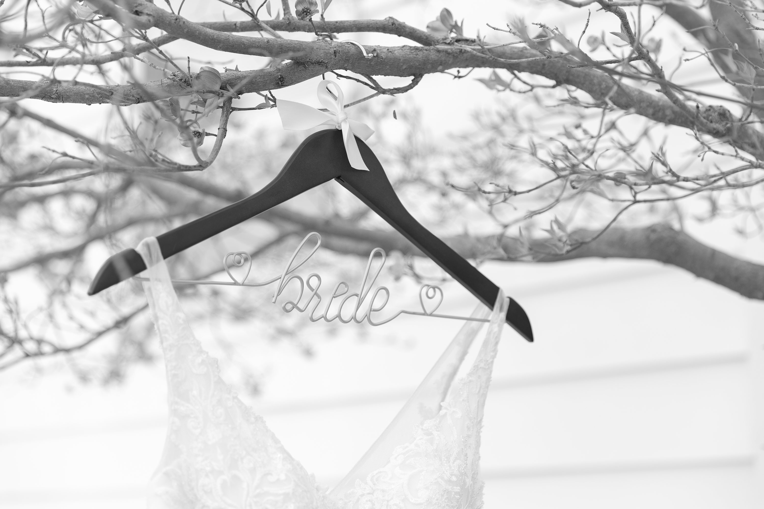 northern indiana wedding photographer,indiana wedding photographer