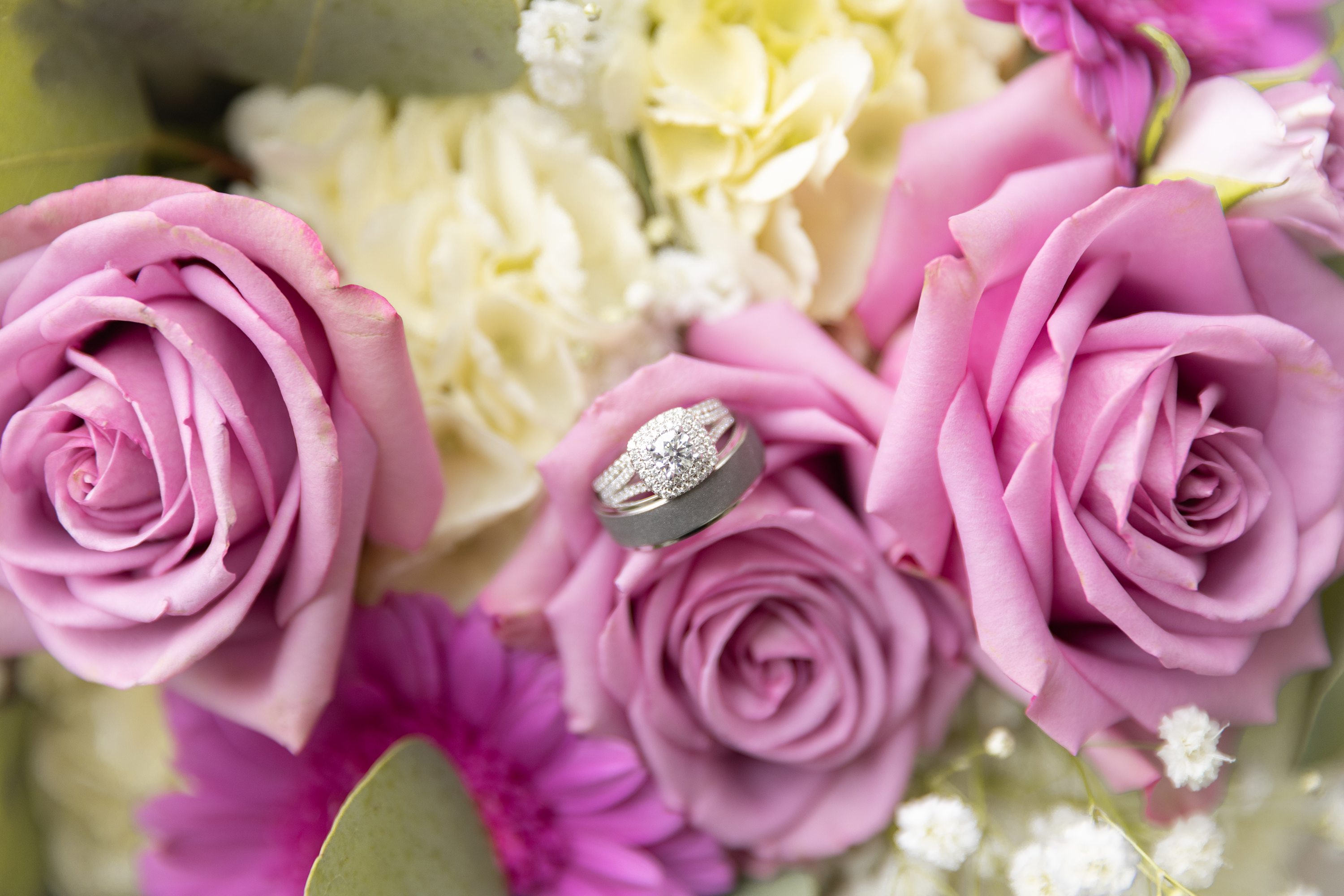 spring blossom wedding,howard-miami mennonite church