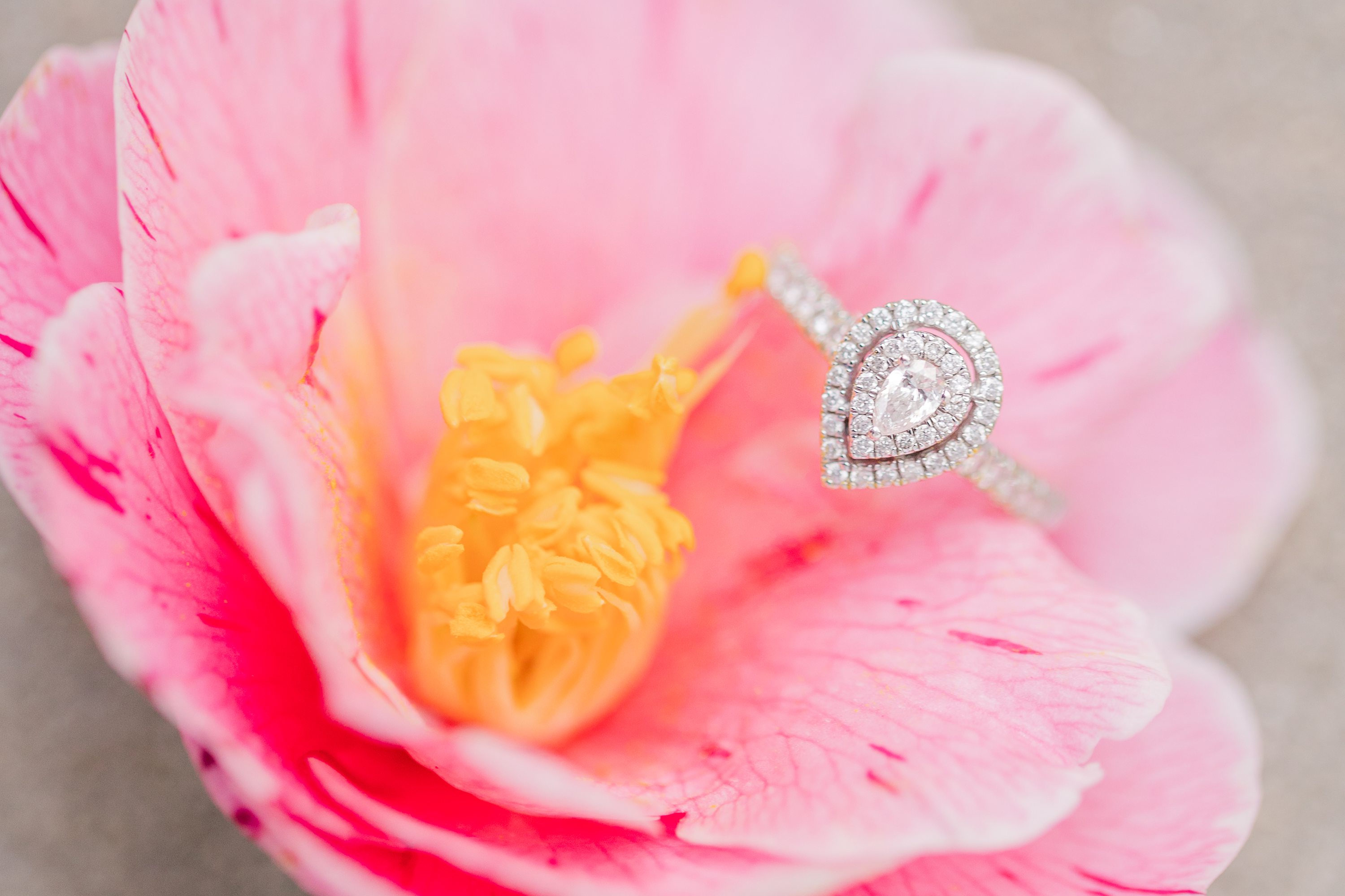 Southern Pines Wedding Photographer,NC Wedding Photographer