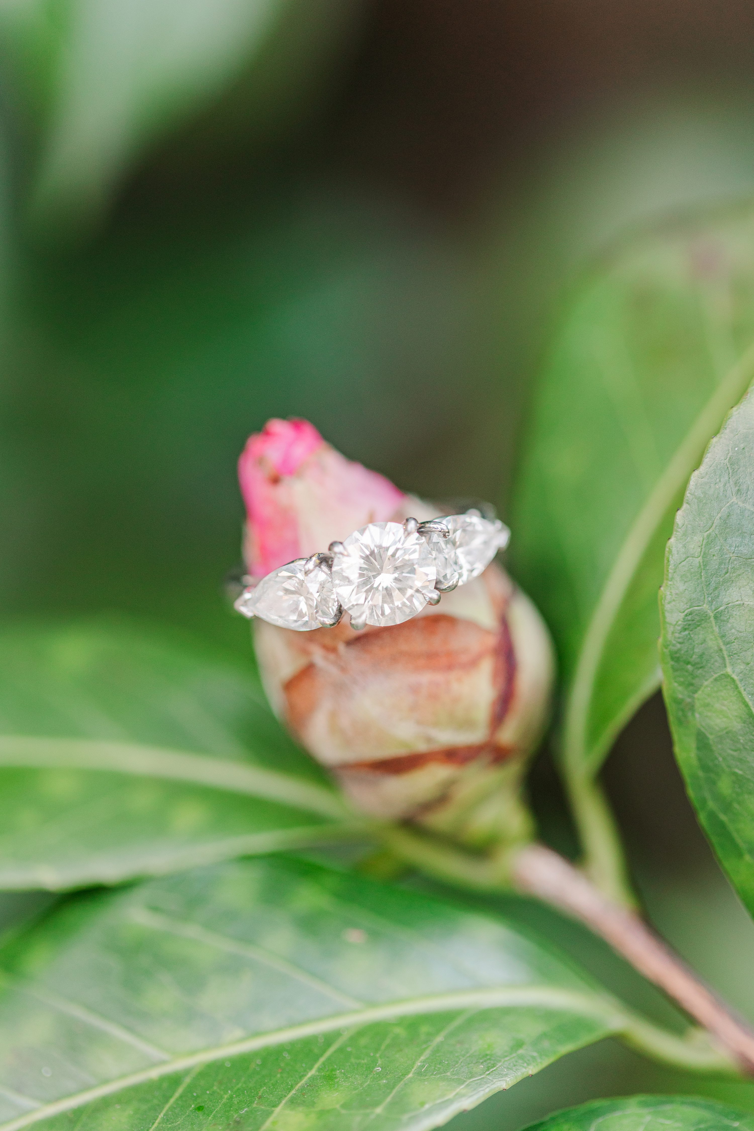 NC Wedding Photographer,Pinehurst NC  