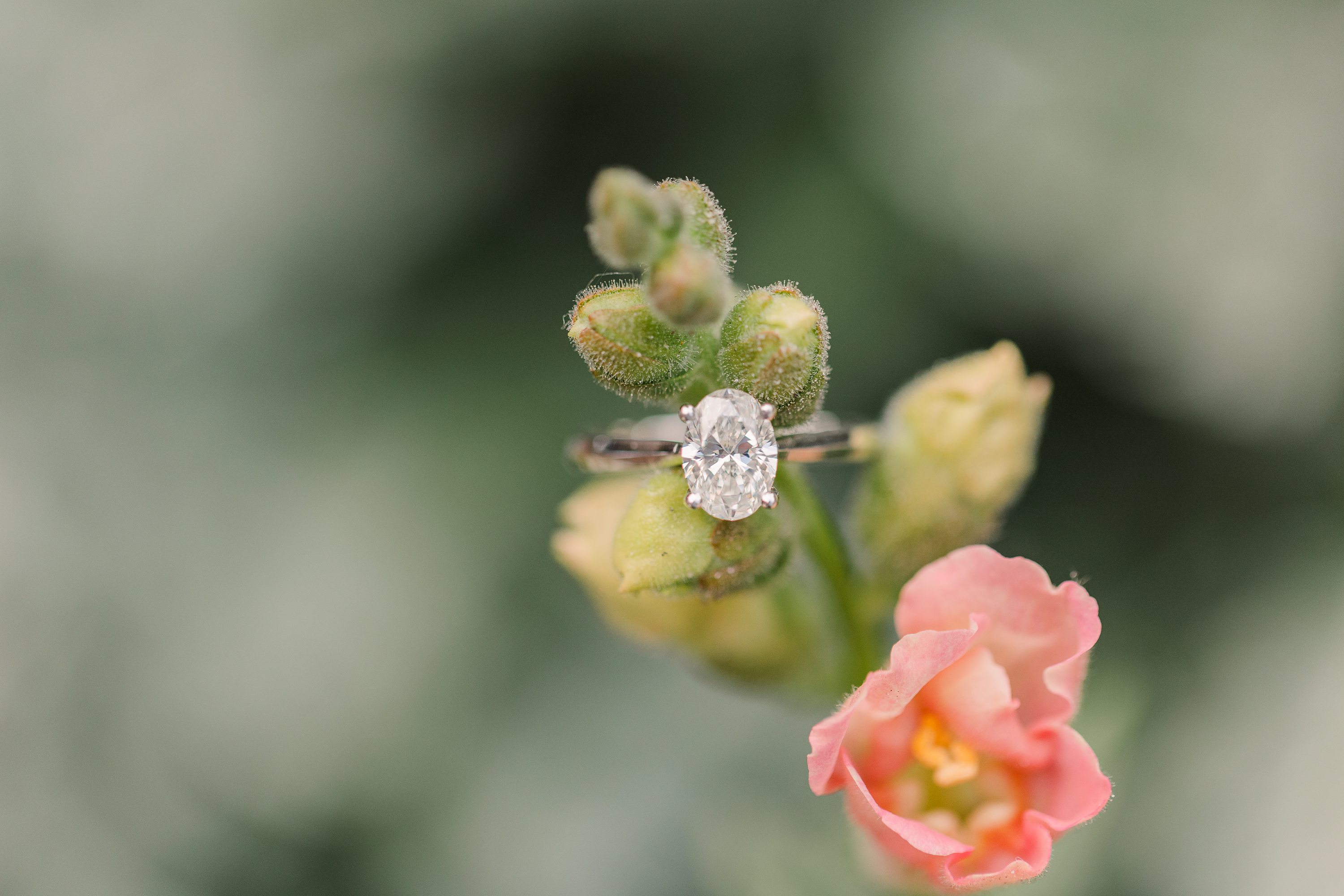 Pinehurst Wedding Photographer,Jennifer B Photography