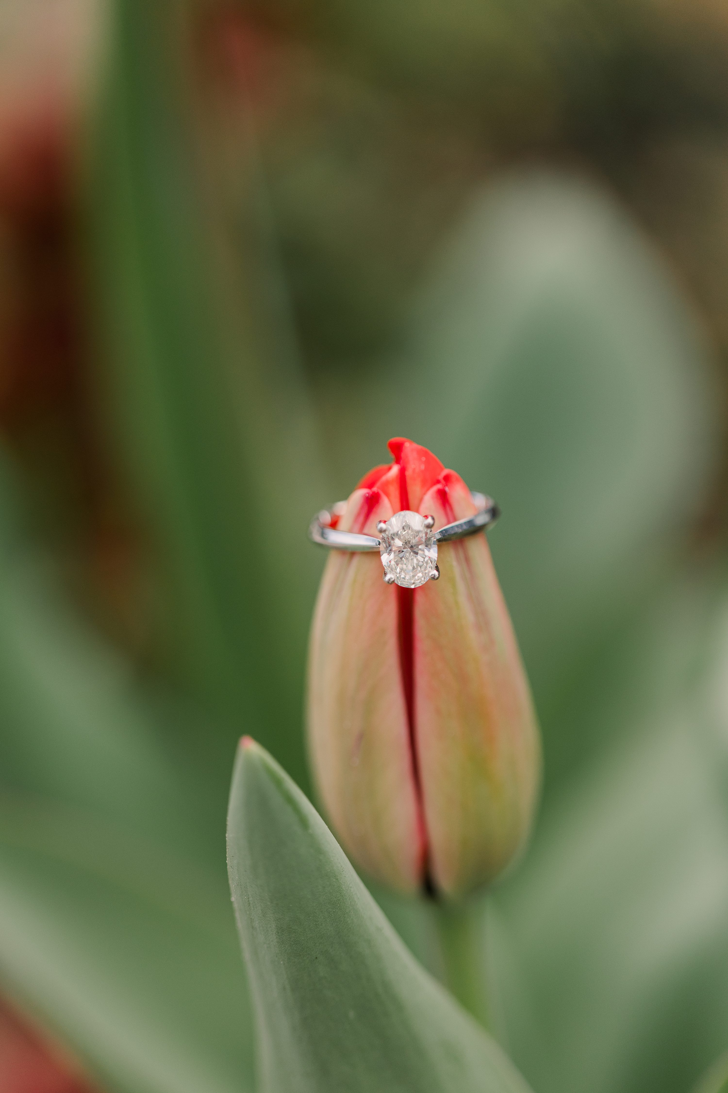 NC Wedding Photographer,Southern Pines NC