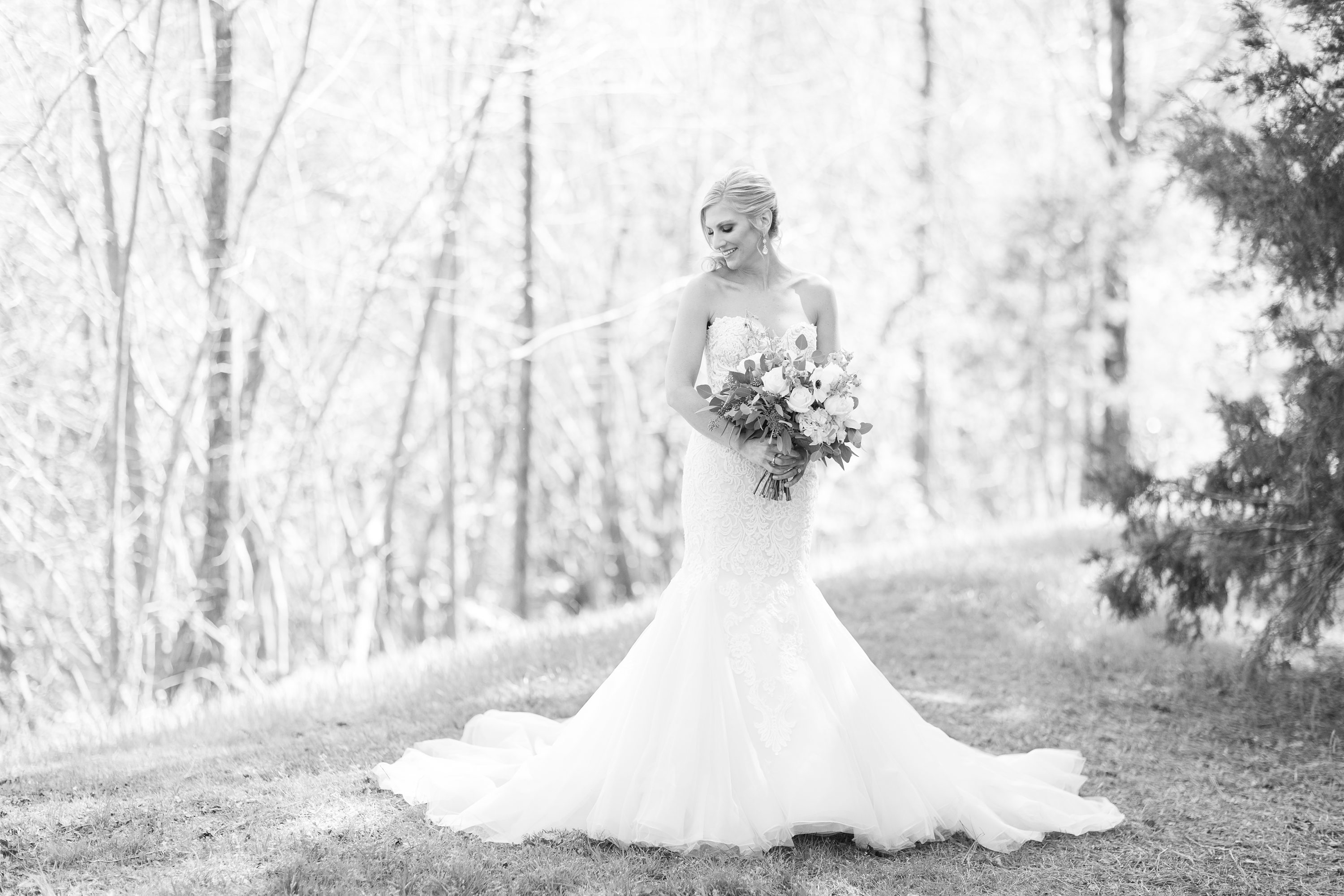 NC Wedding Photographer,NC Wedding Photographer