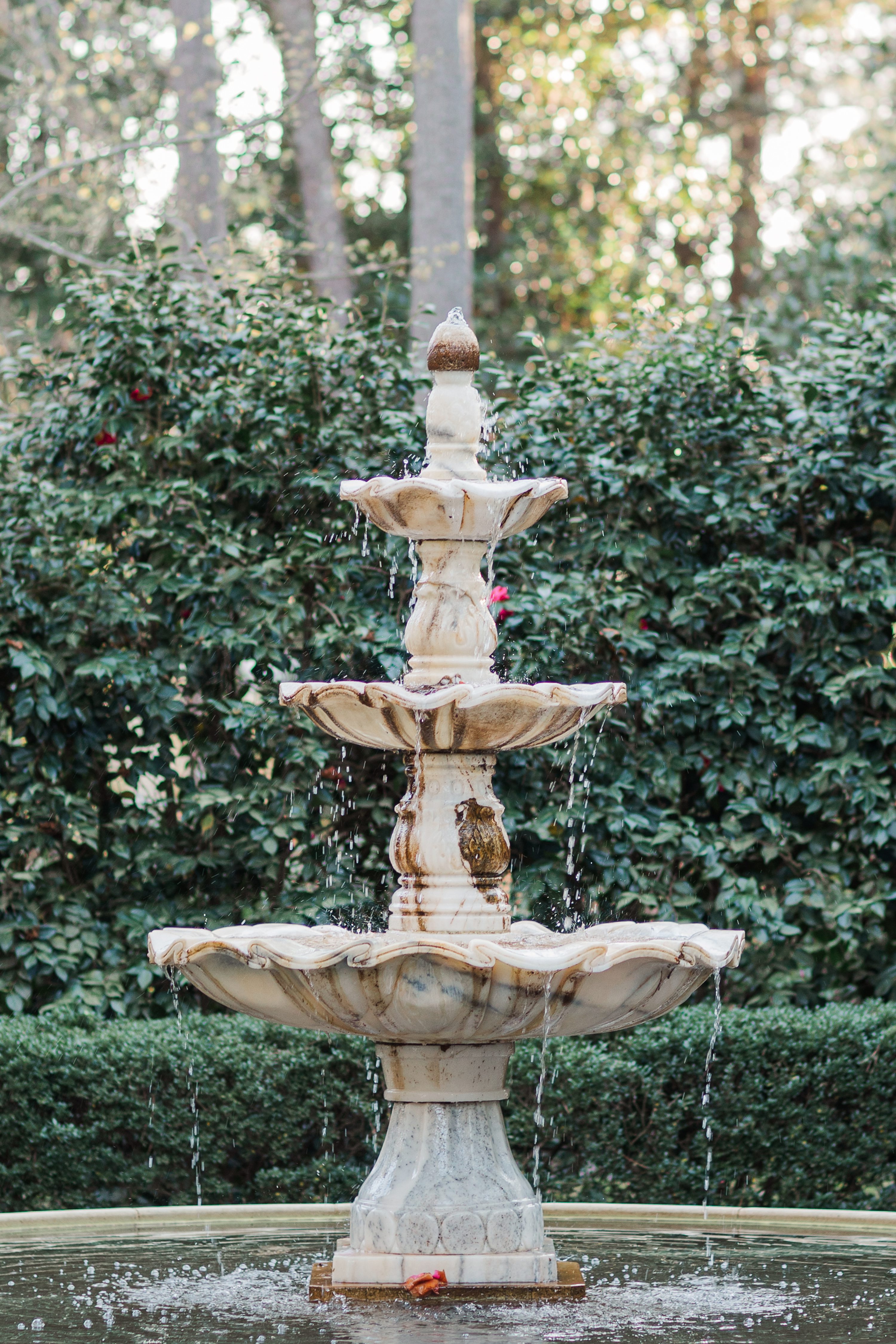 Pinehurst NC  ,NC Wedding Photographer