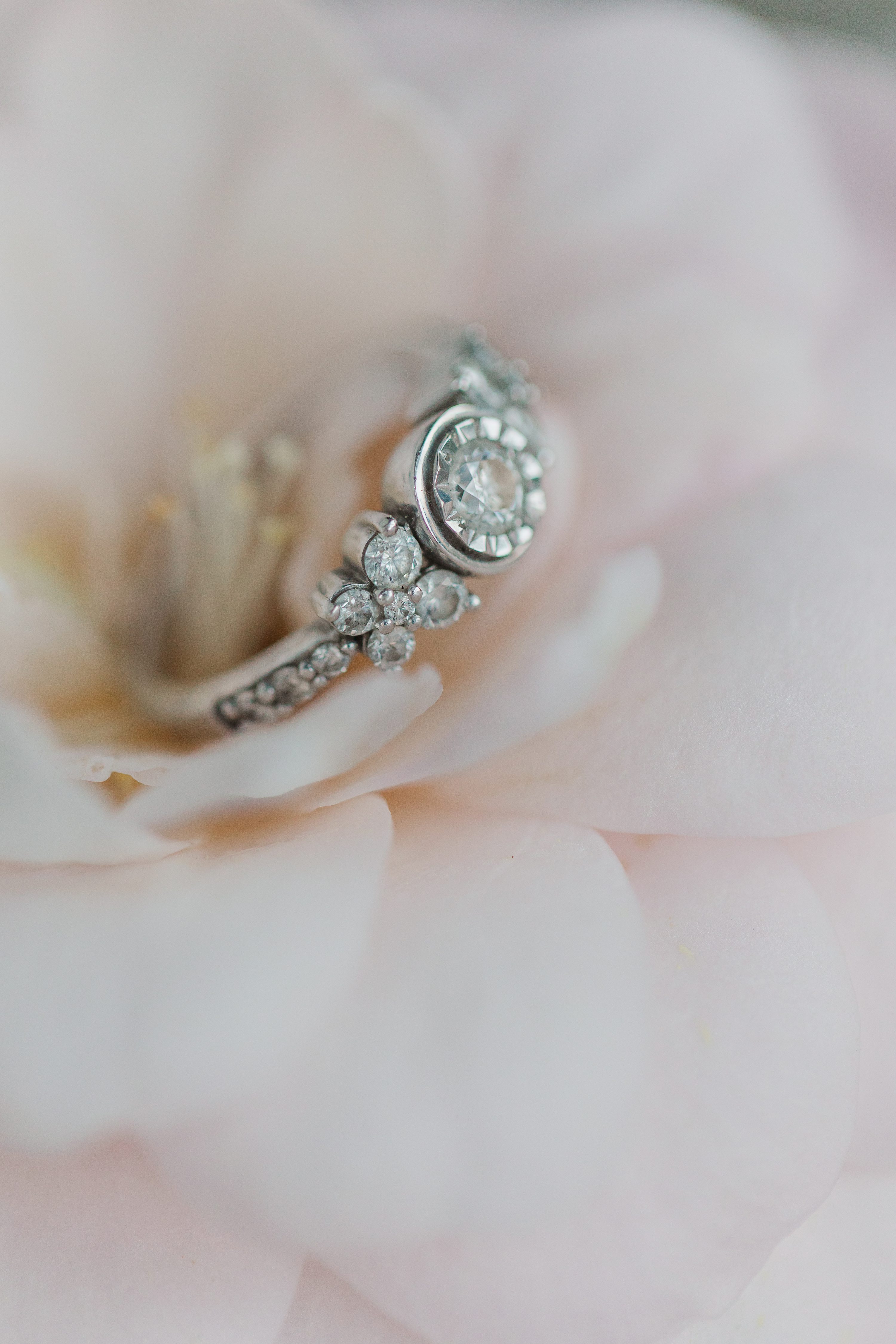 Jennifer B Photography NC,Southern Pines NC