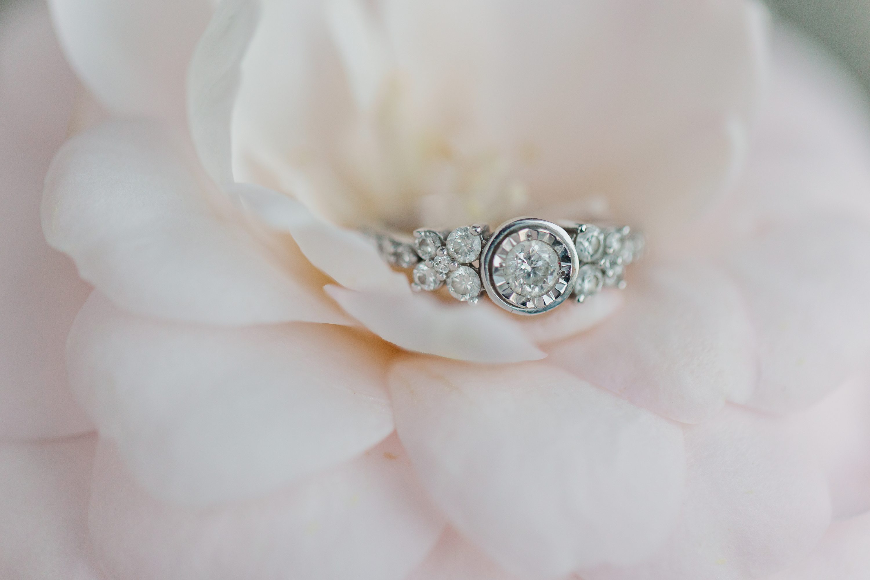 Jennifer B Photography NC