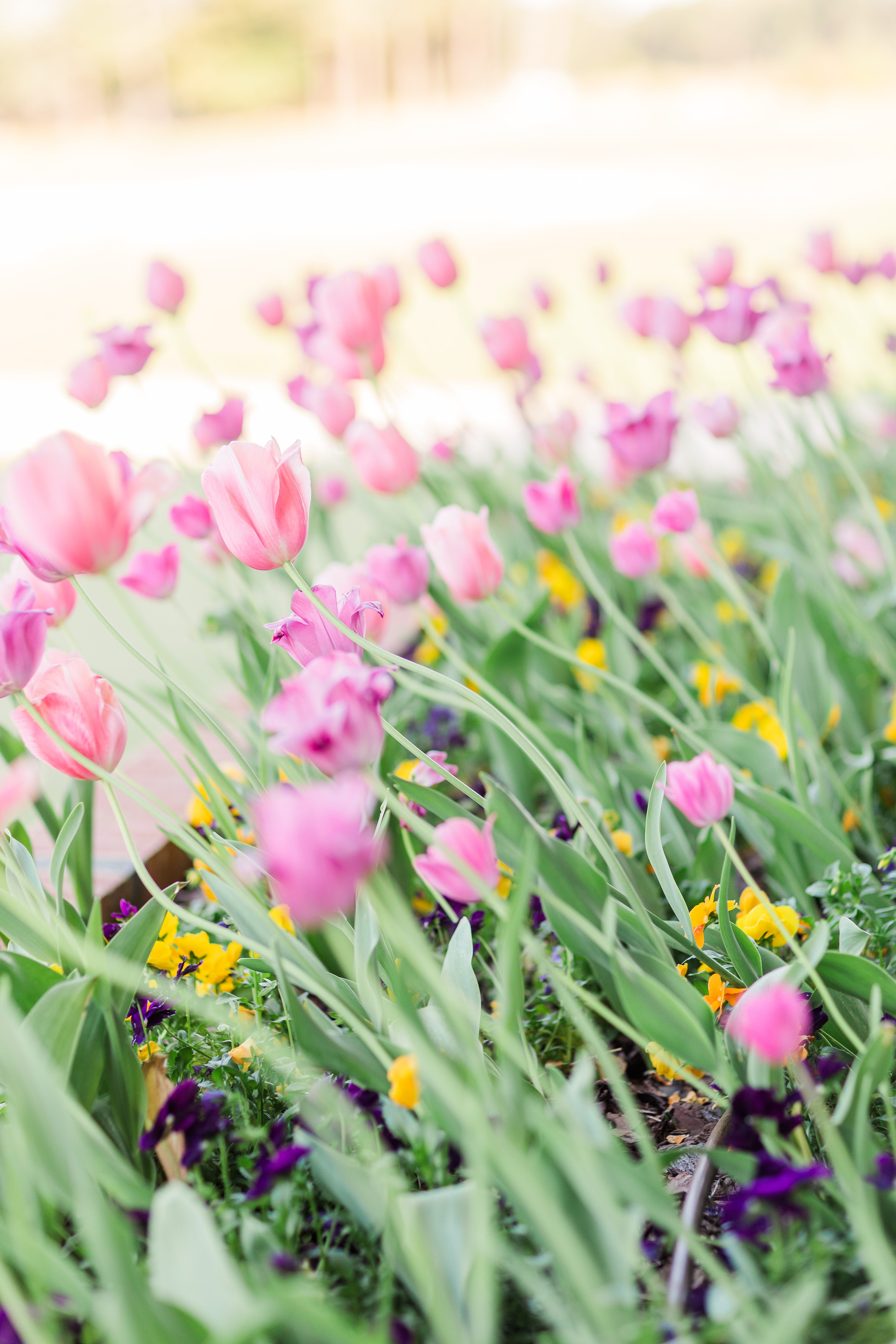 NC Wedding Photographer,Southern Pines NC