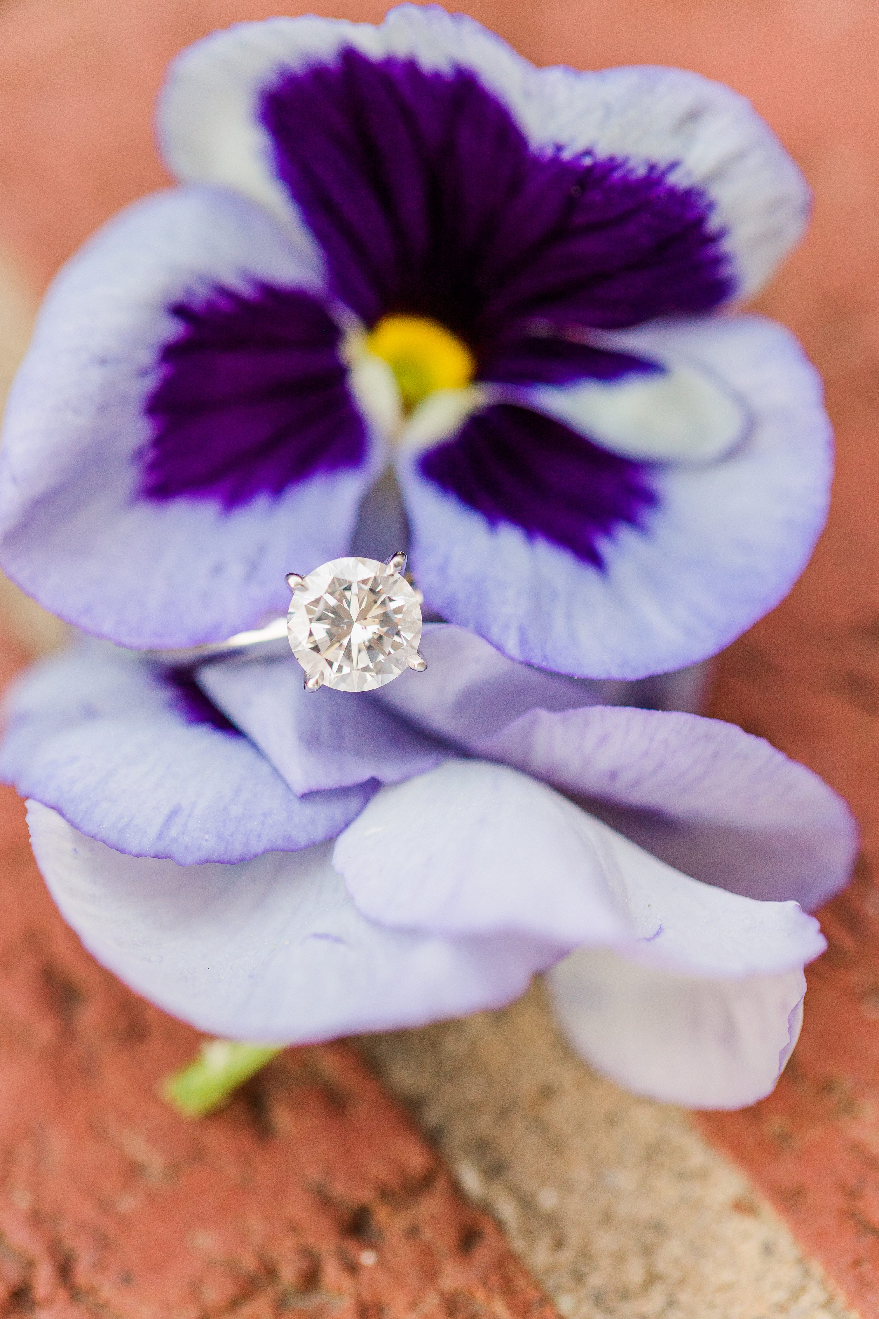 Jennifer B Photography NC,Jennifer B Photography