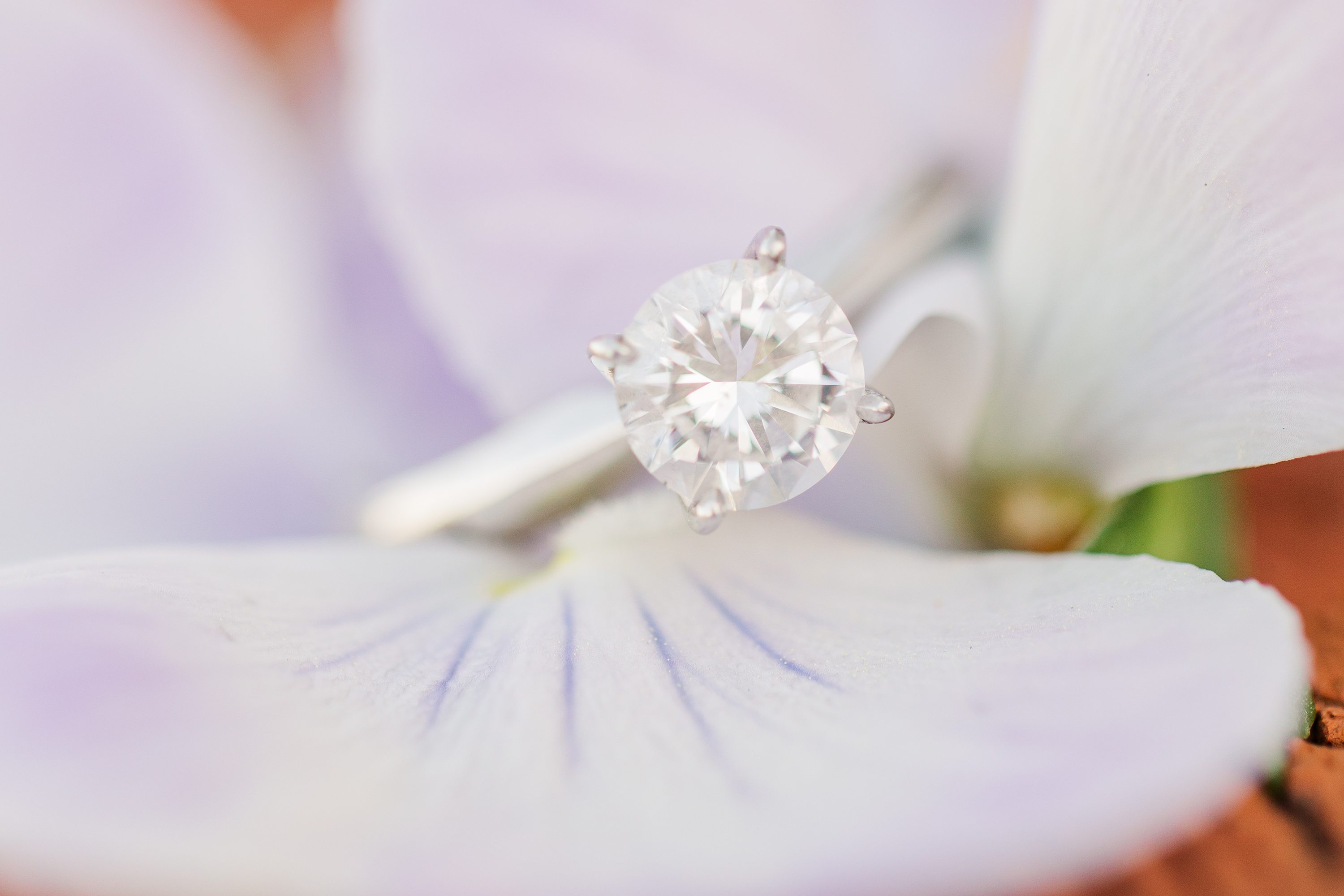 Jennifer B Photography,Pinehurst NC  