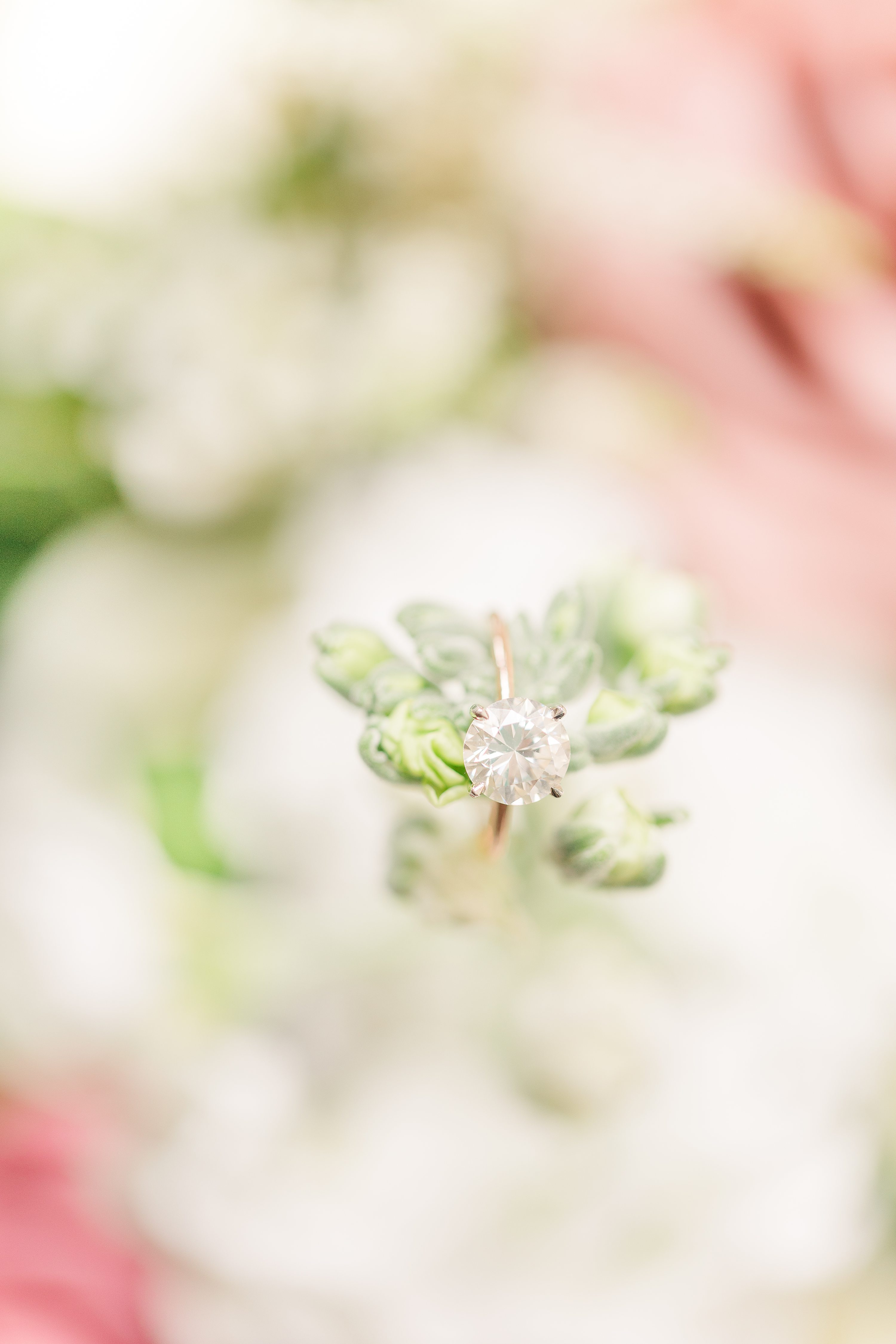 Jennifer B Photography,NC Wedding Photographer