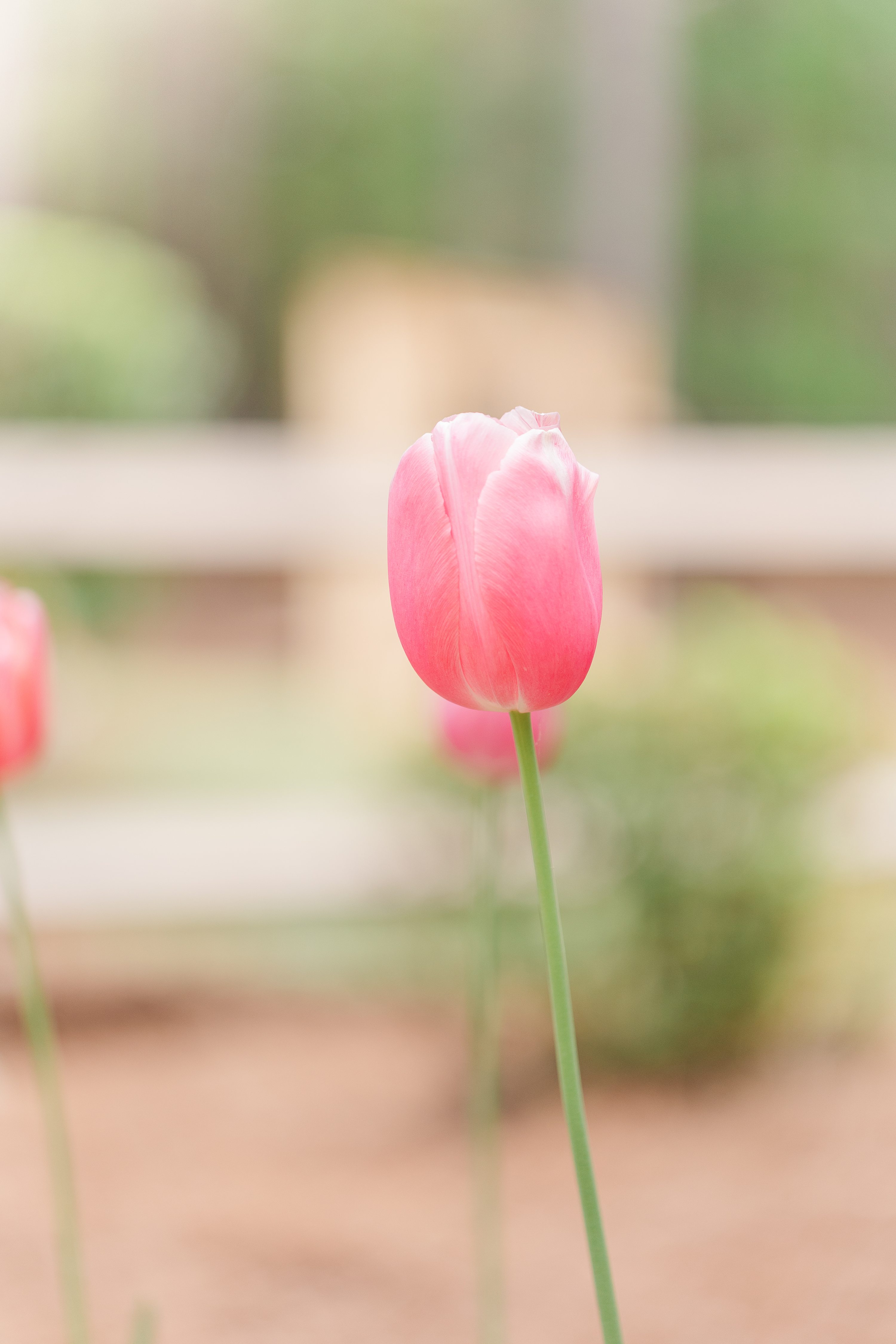 Jennifer B Photography,Pinehurst NC  