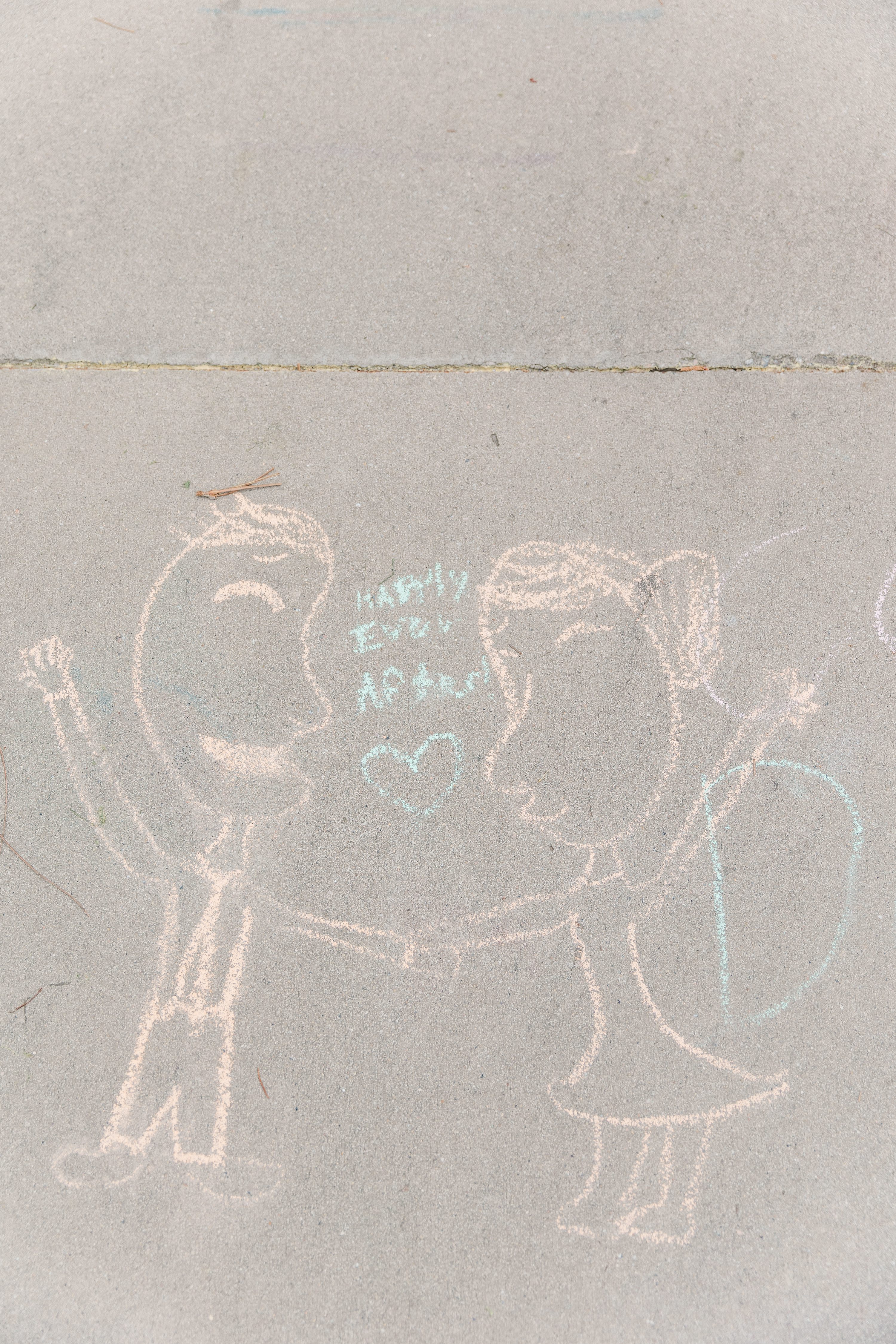 Southern Pines Wedding Photographer,NC Wedding Photographer