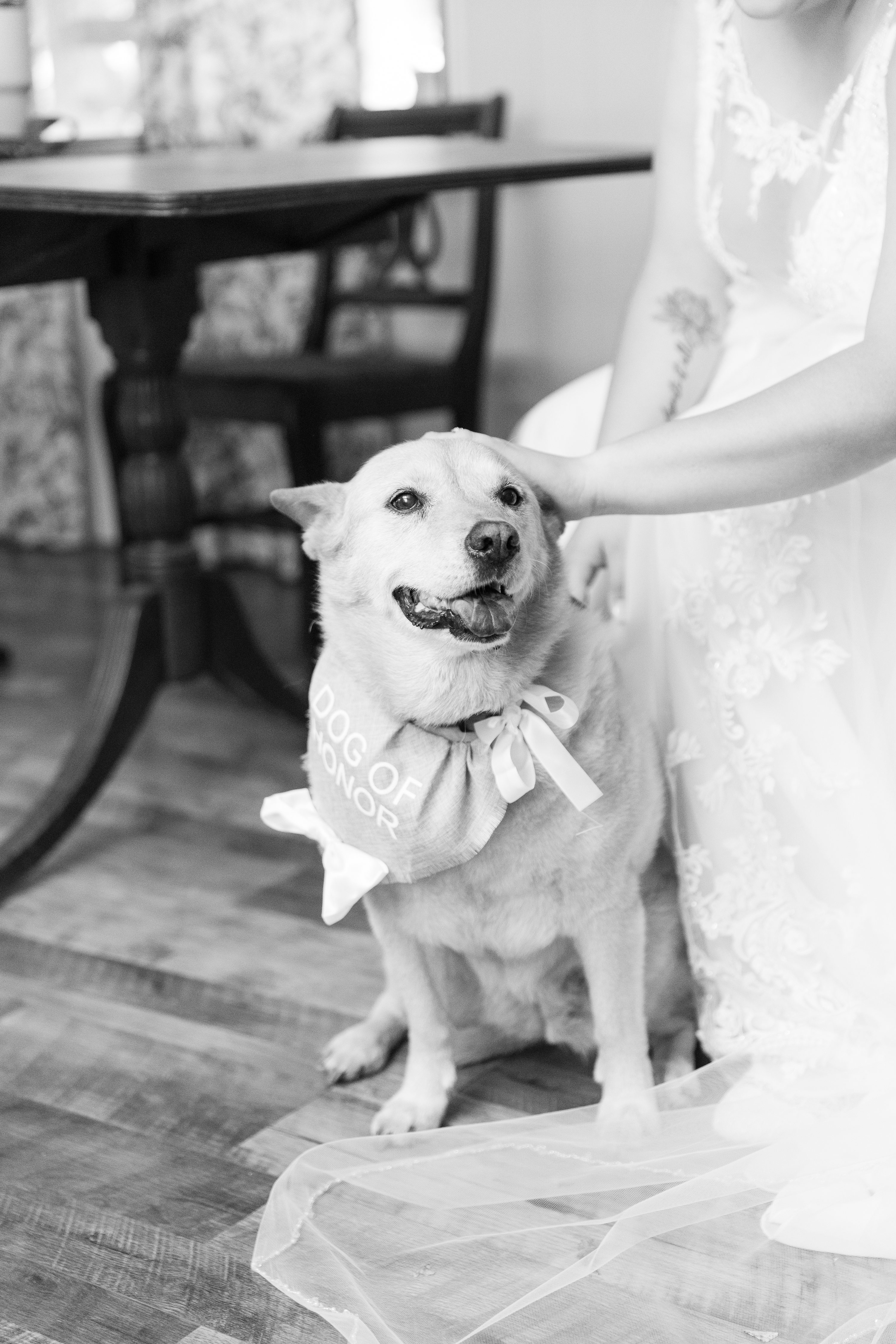 Southern Pines Wedding Photographer, pink and white wedding bouquet.