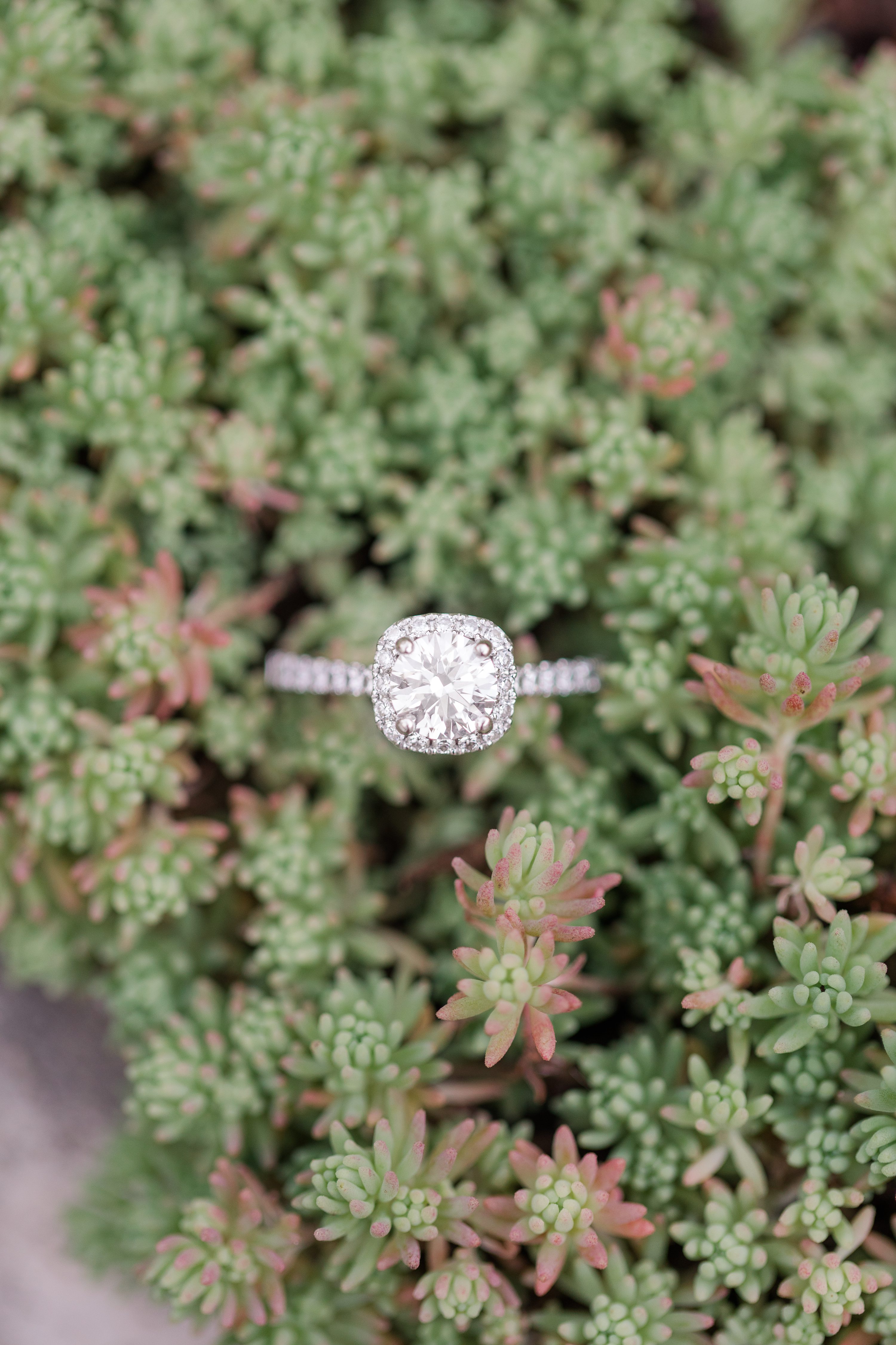 Southern Pines NC Weddings,Pinehurst Wedding Photographer