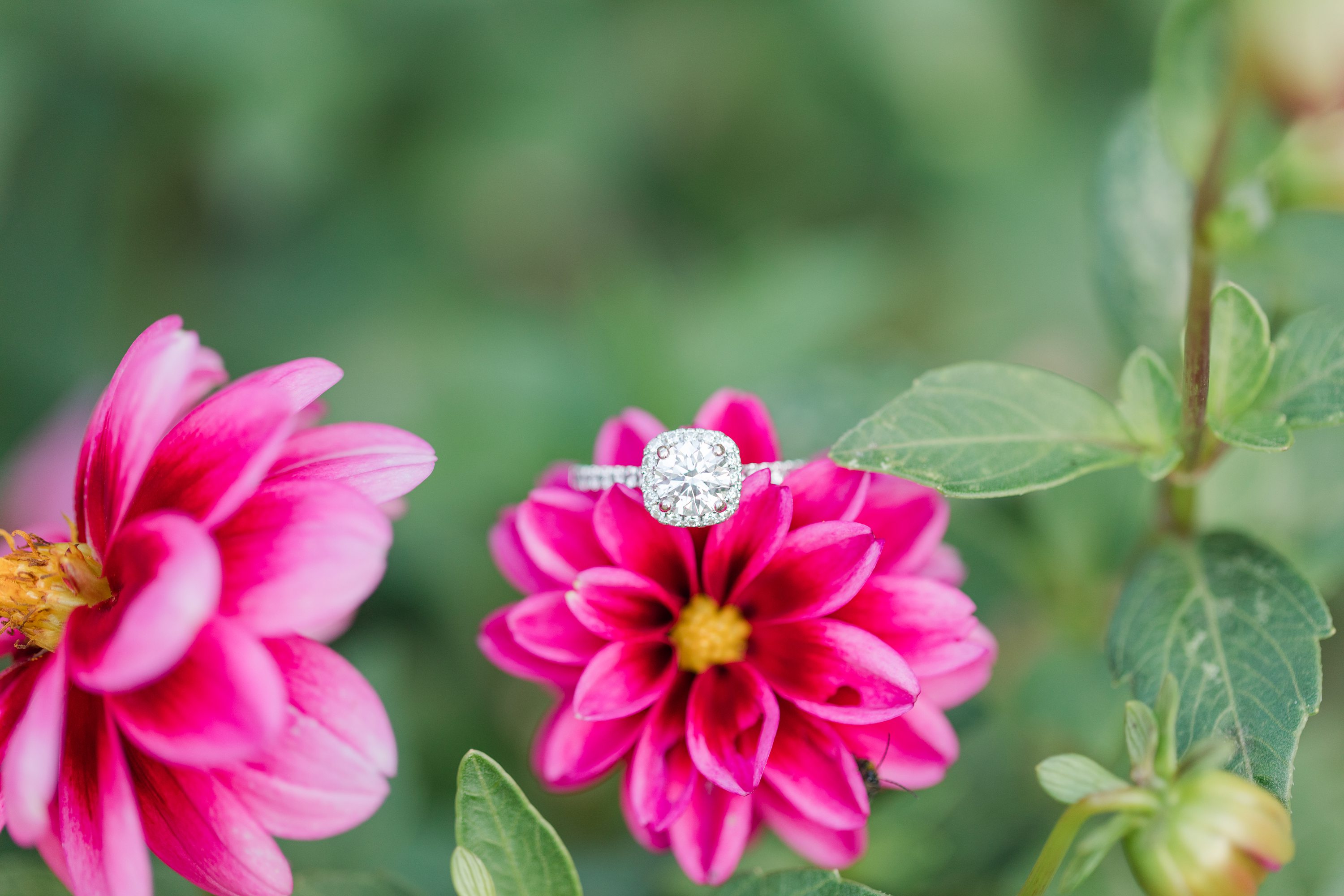 Southern Pines NC Weddings,Jennifer B Photography NC