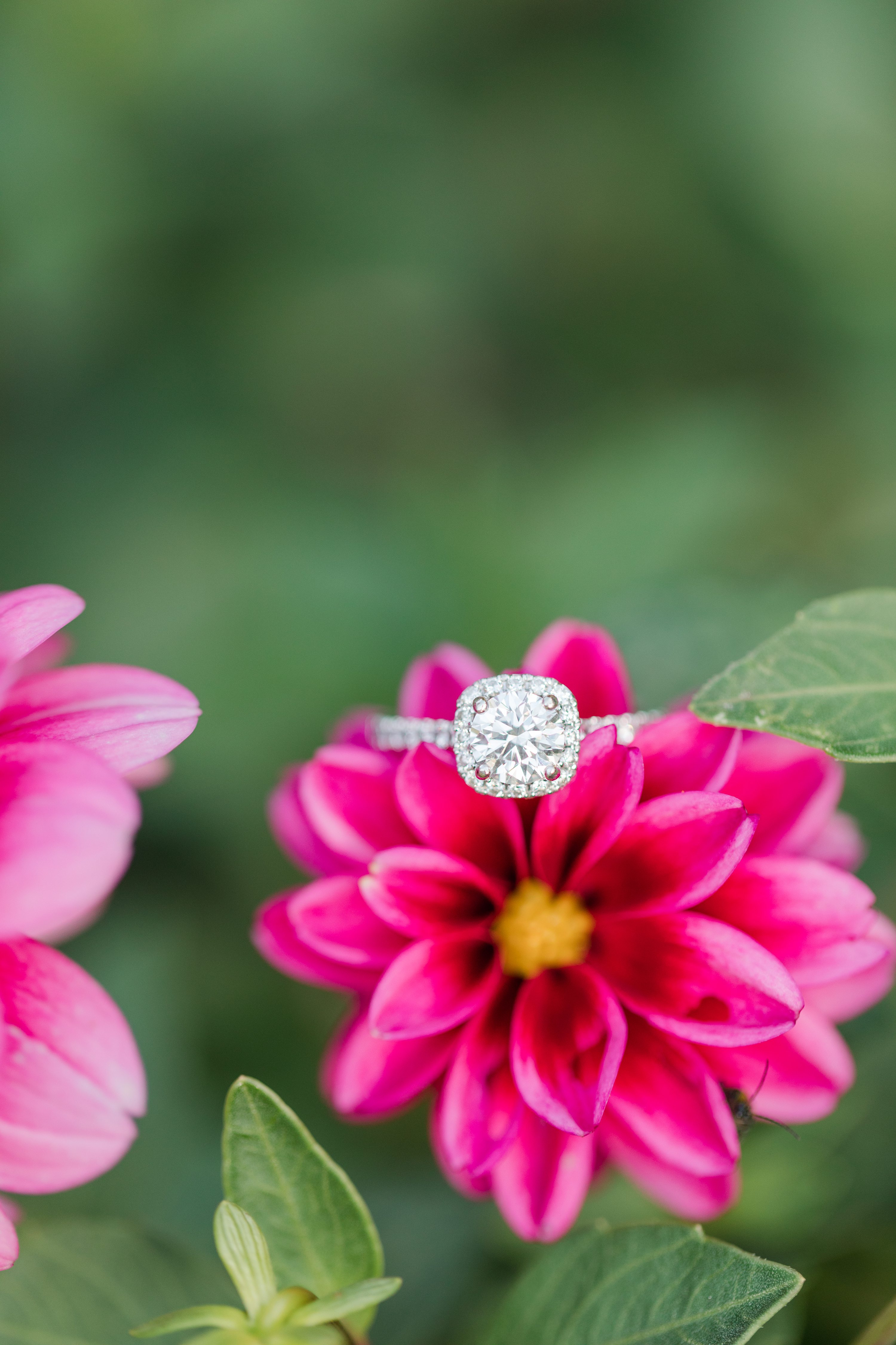 Jennifer B Photography,Pinehurst Wedding Photographer
