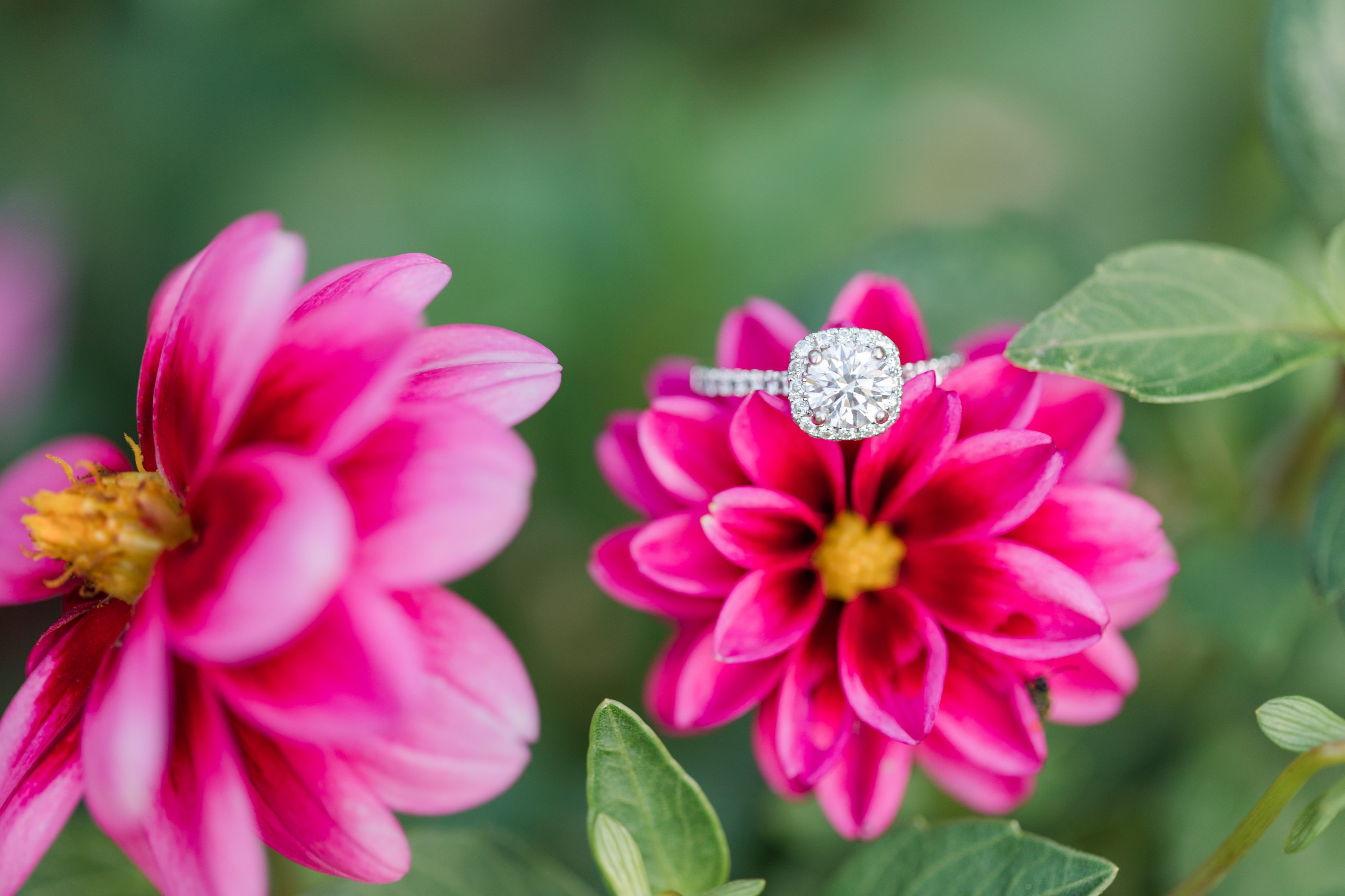 NC Wedding Photographer
