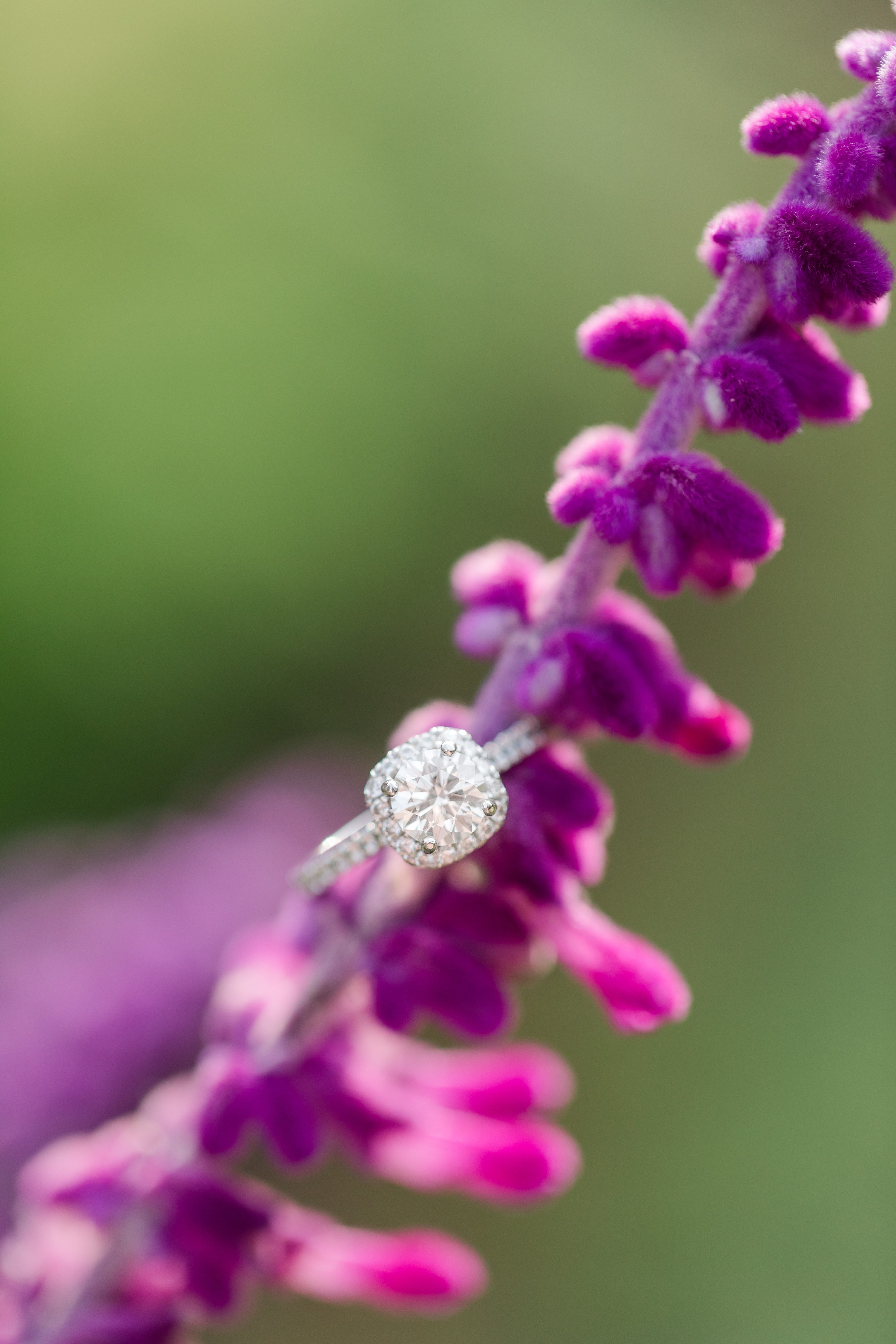 Pinehurst NC Weddings,Southern Pines Wedding Photographer