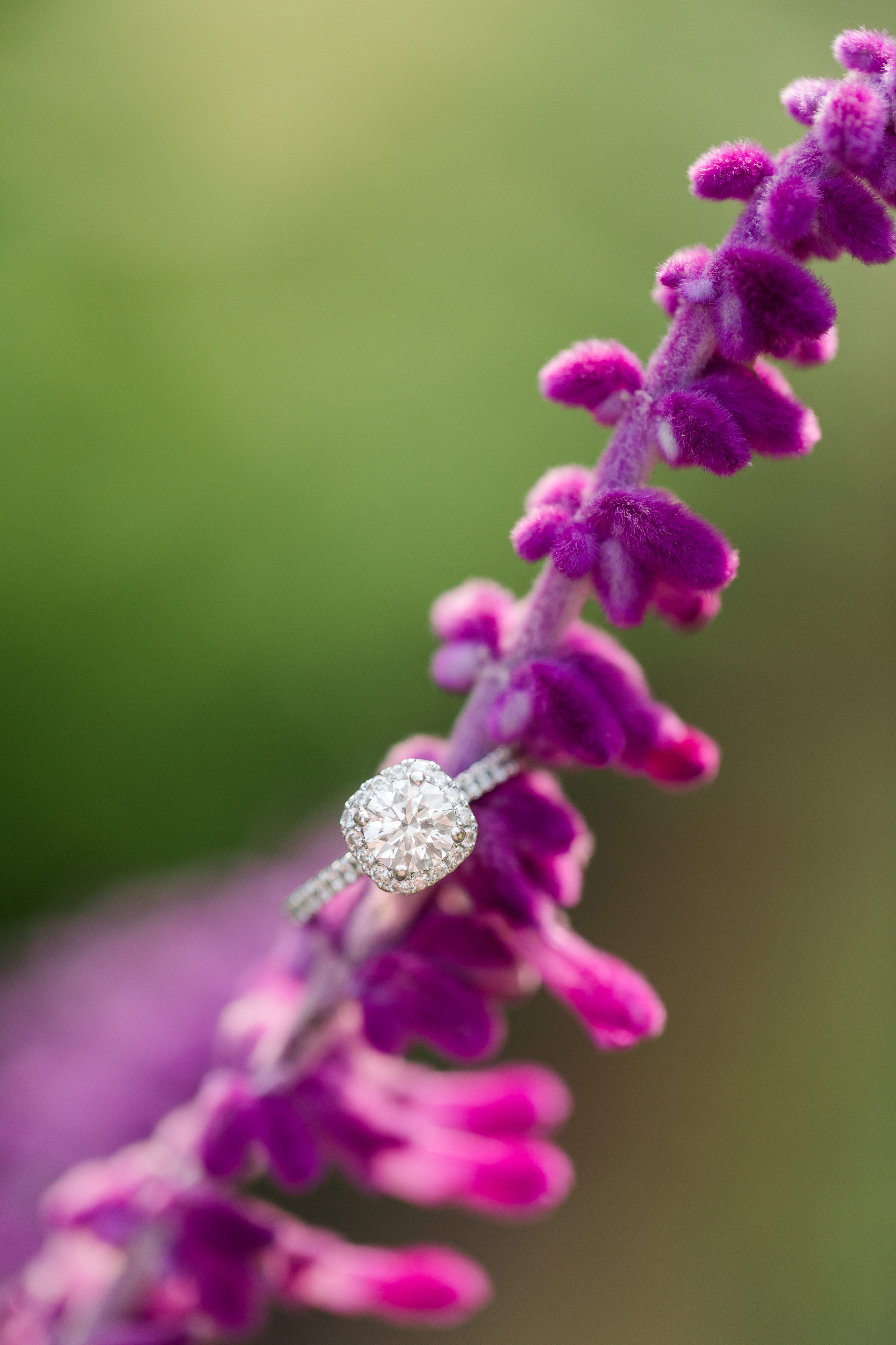 Jennifer B Photography,Southern Pines Wedding Photographer