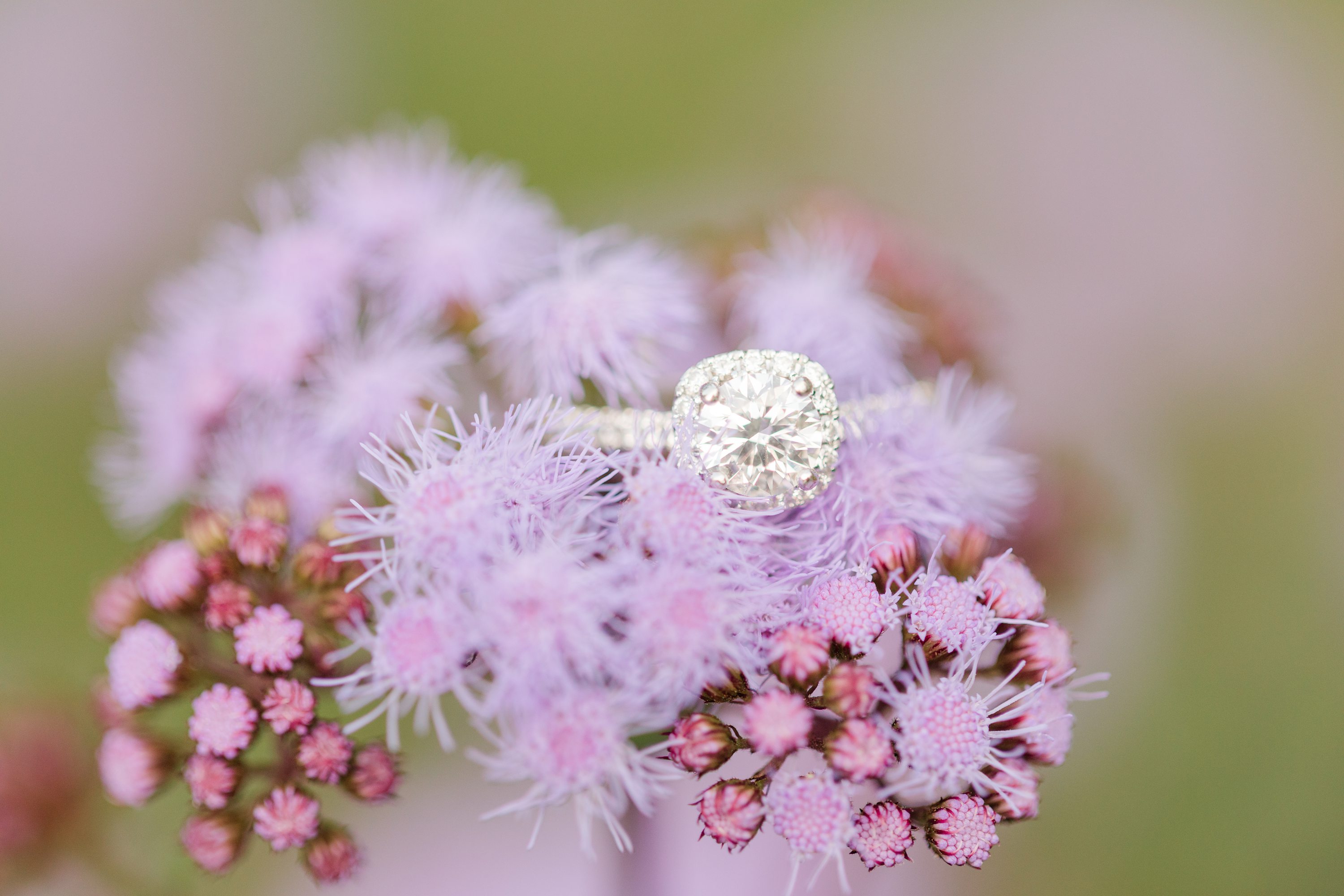 Southern Pines Wedding Photographer,Jennifer B Photography