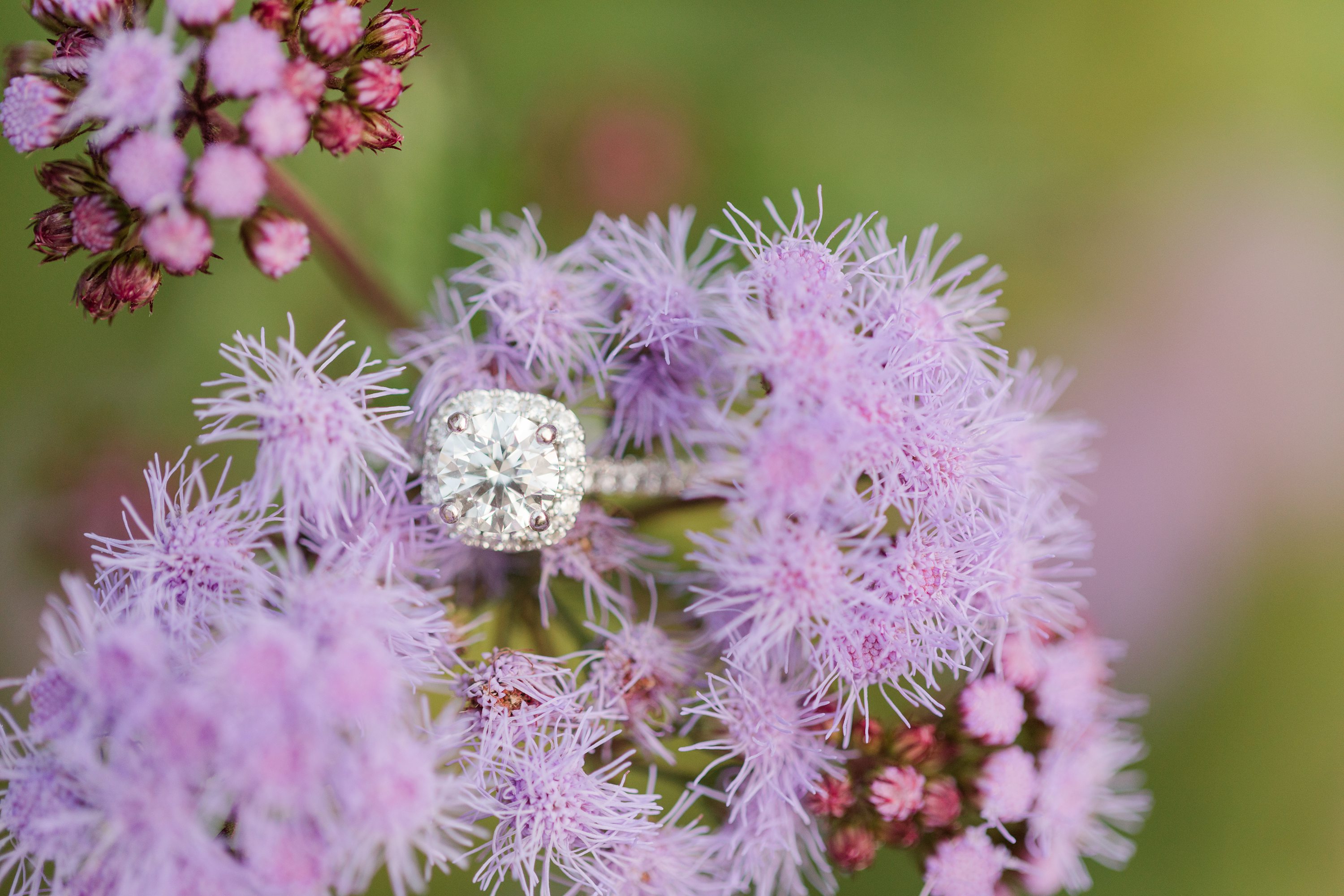 Southern Pines Wedding Photographer,Southern Weddings