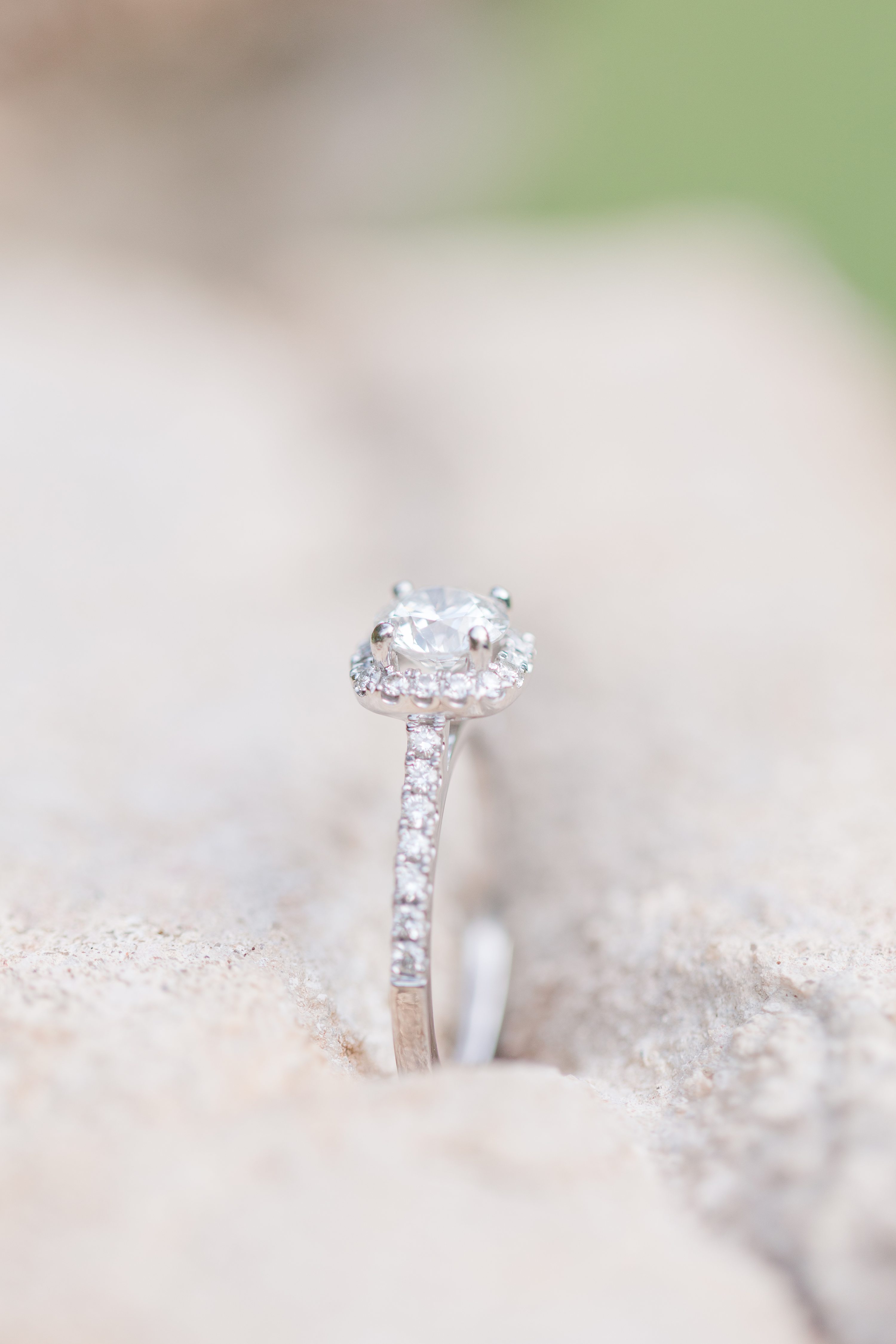Southern Pines Wedding Photographer,NC Wedding Photographer