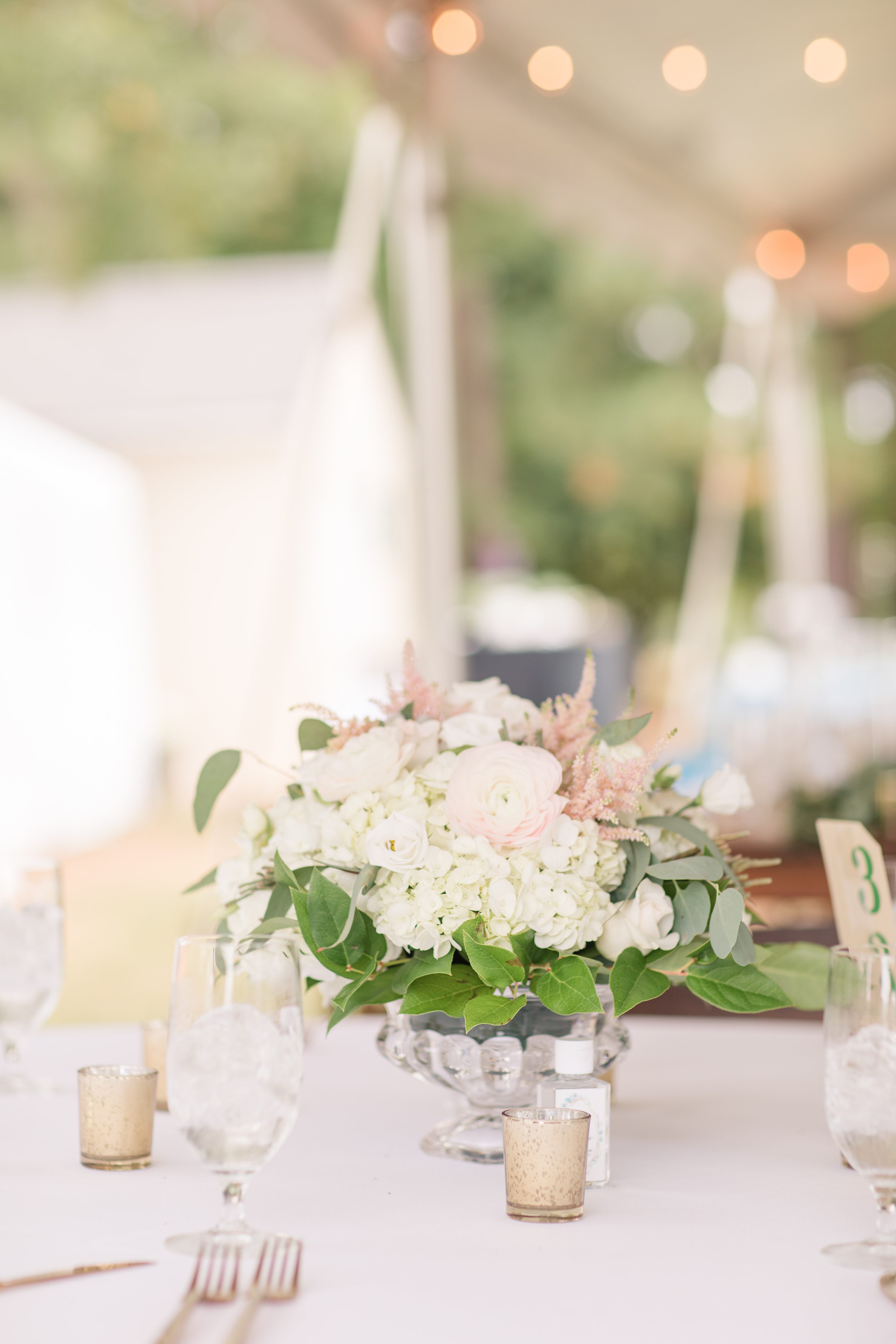 Southern Pines Wedding Photographer,Southern Weddings