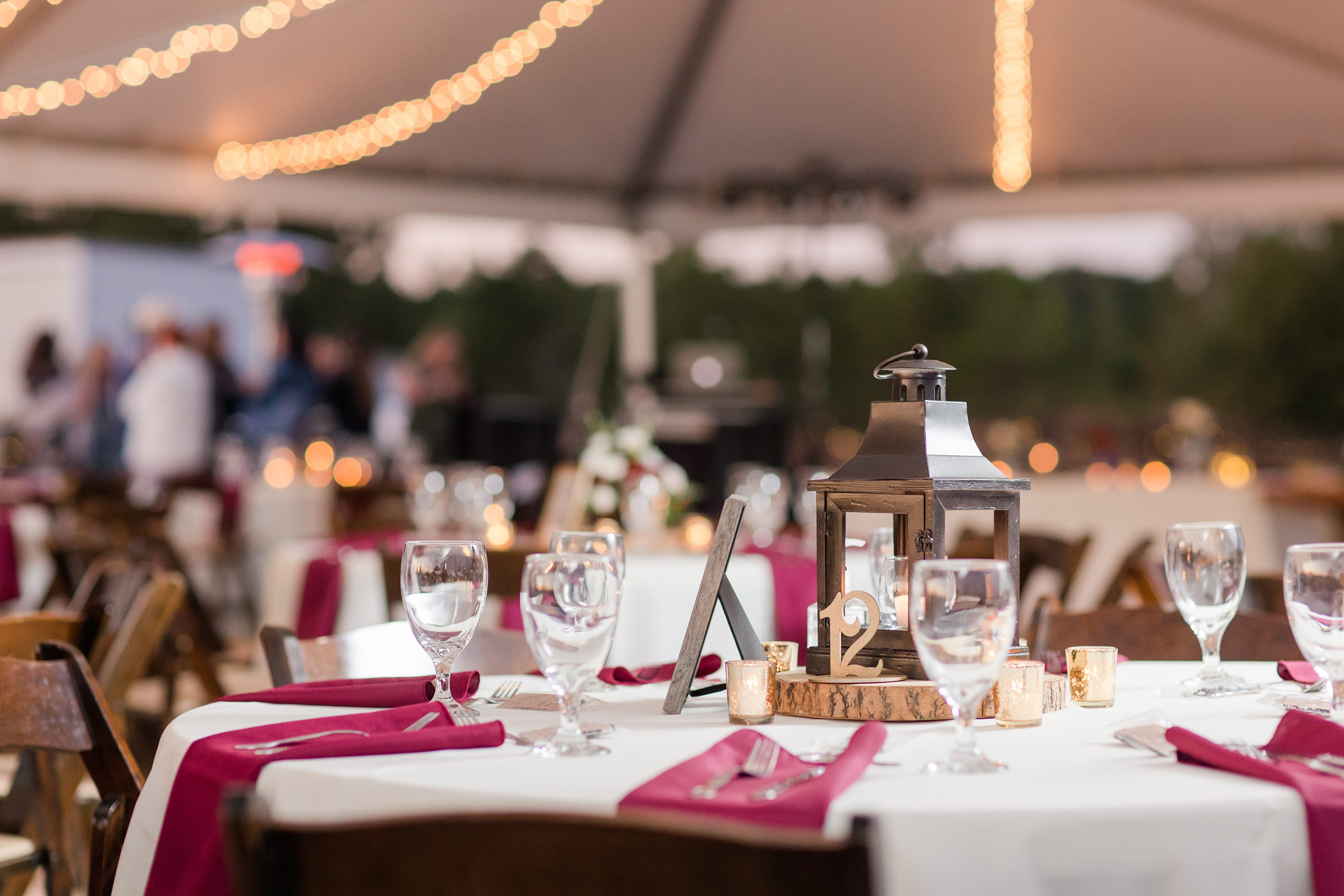 Southern Weddings,Southern Pines Wedding Photographer