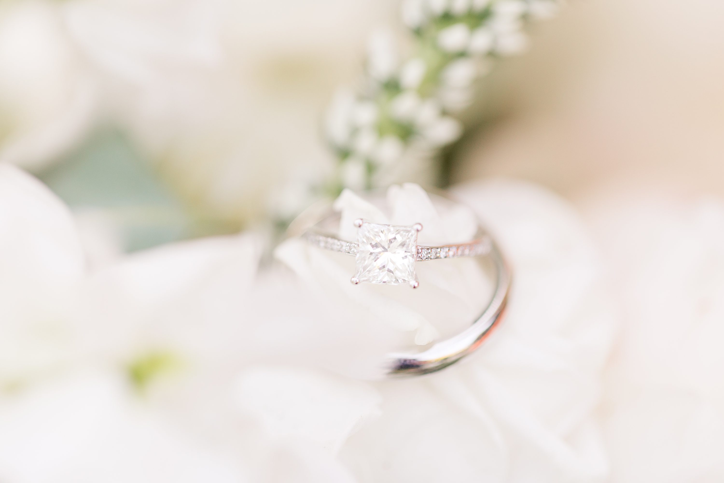 NC Wedding Photographer,NC Wedding Photographer