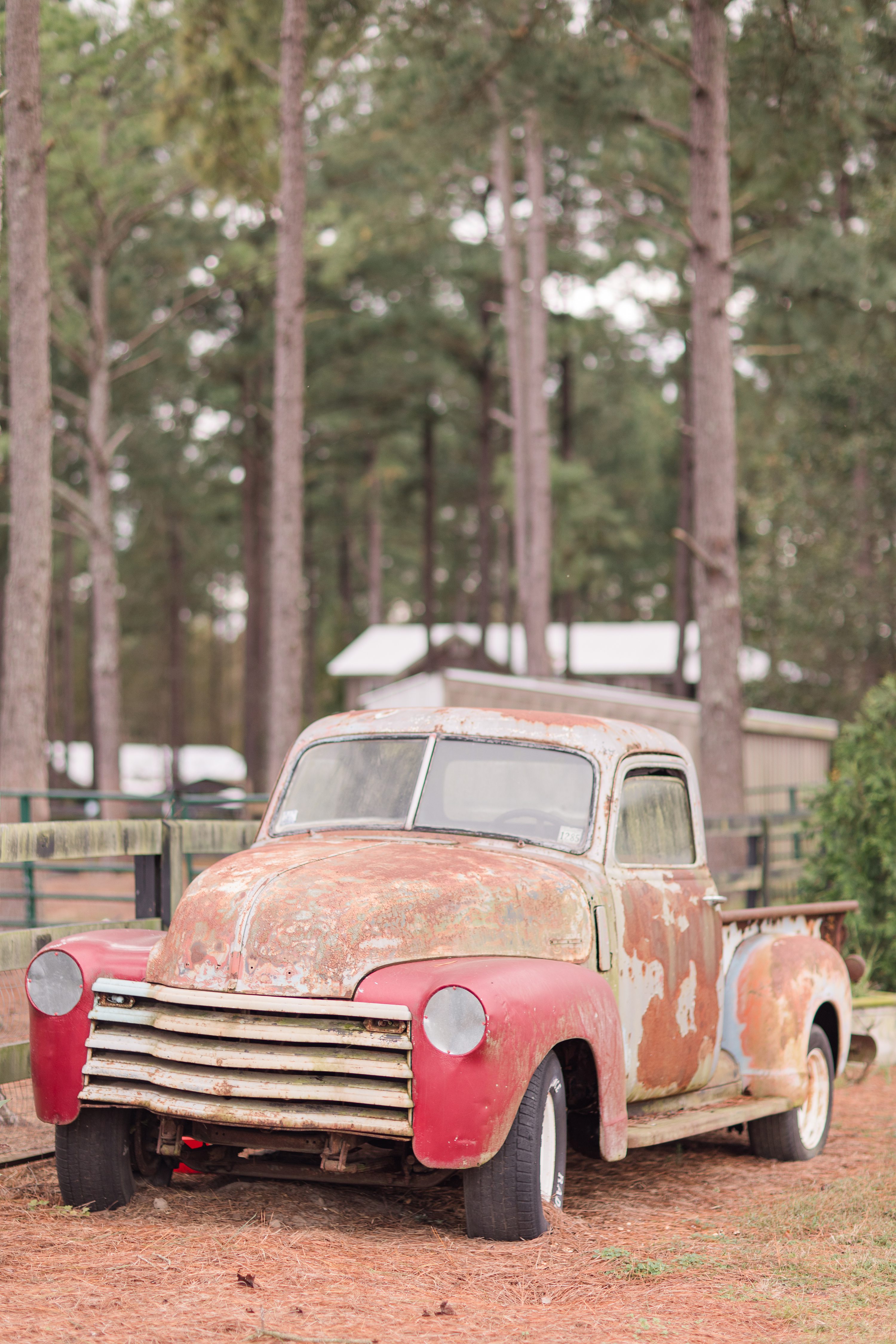 Southern Pines NC Weddings,Southern Weddings