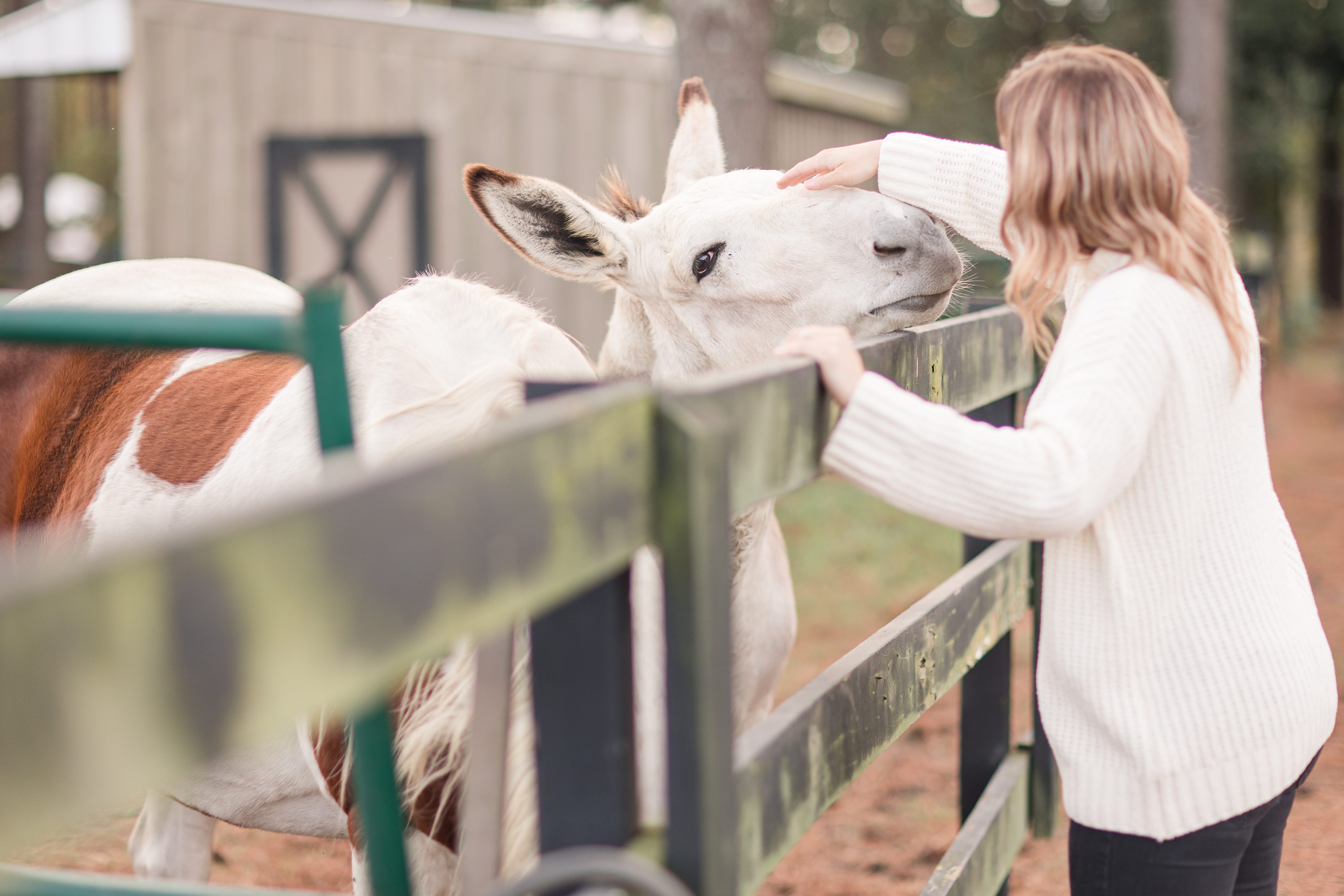 NC Wedding Photographer,Pinehurst Wedding Photographer