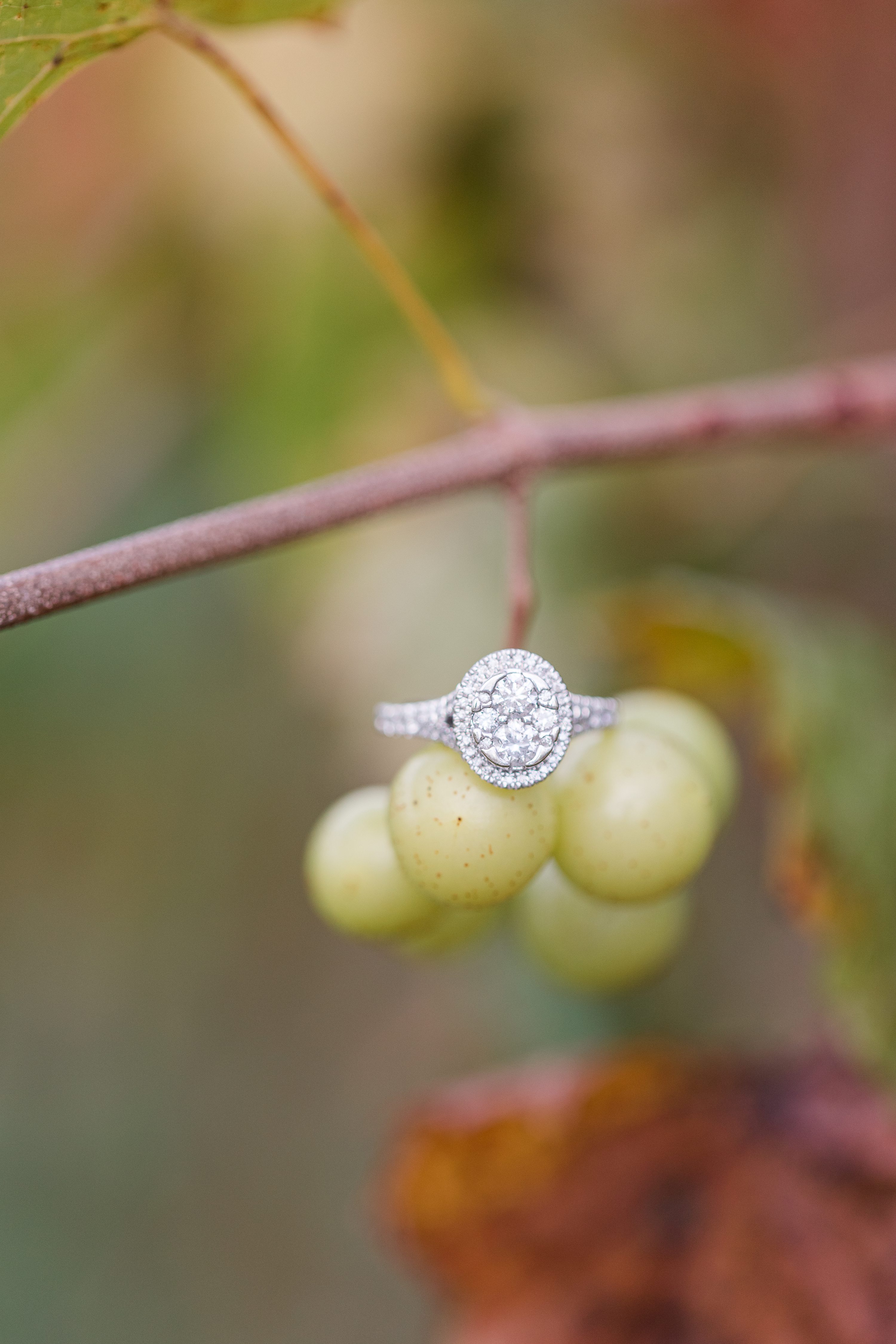 Pinehurst NC Weddings,Southern Pines Wedding Photographer