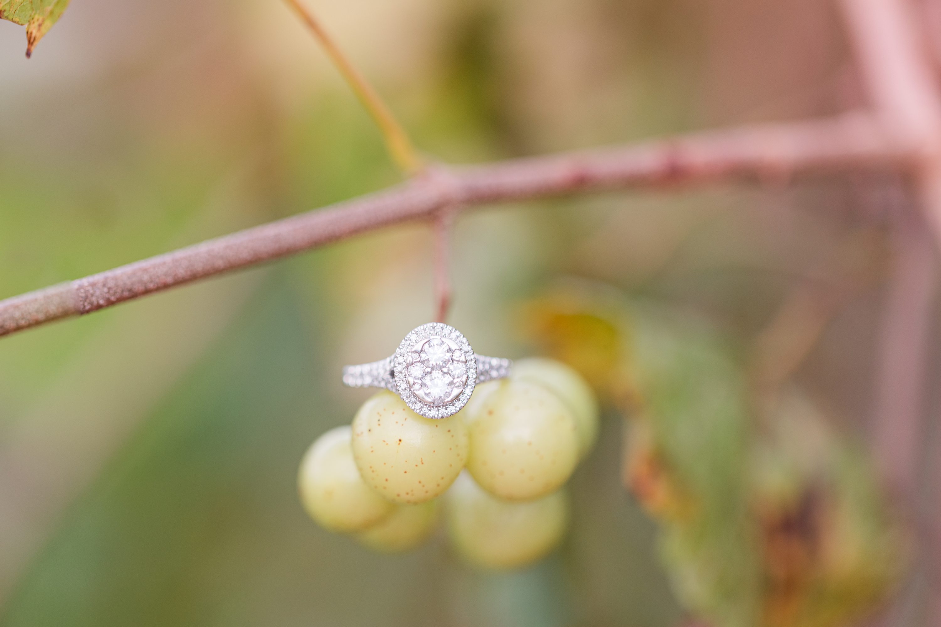 NC Wedding Photographer,Pinehurst Wedding Photographer