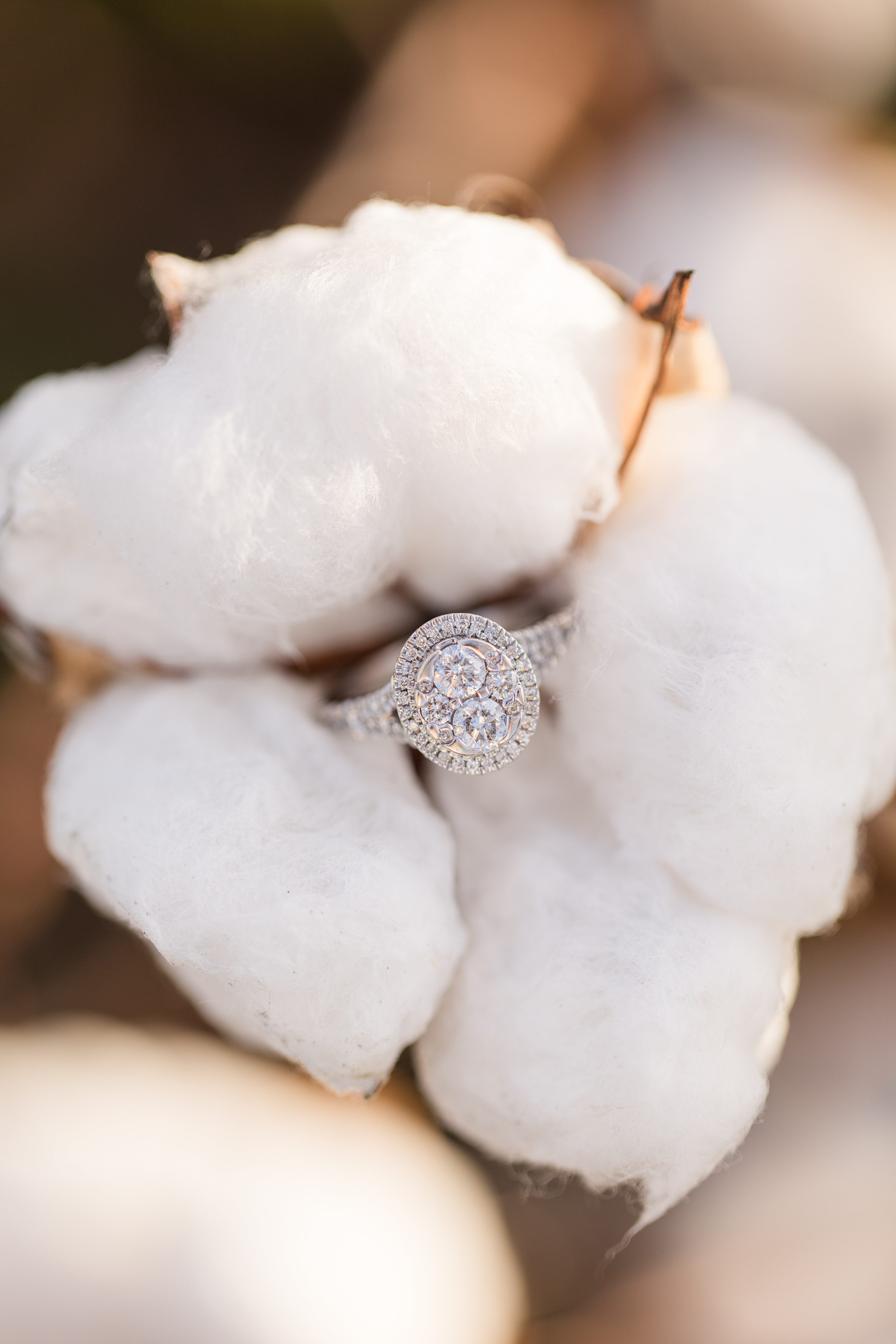 Southern Weddings,Pinehurst NC Weddings