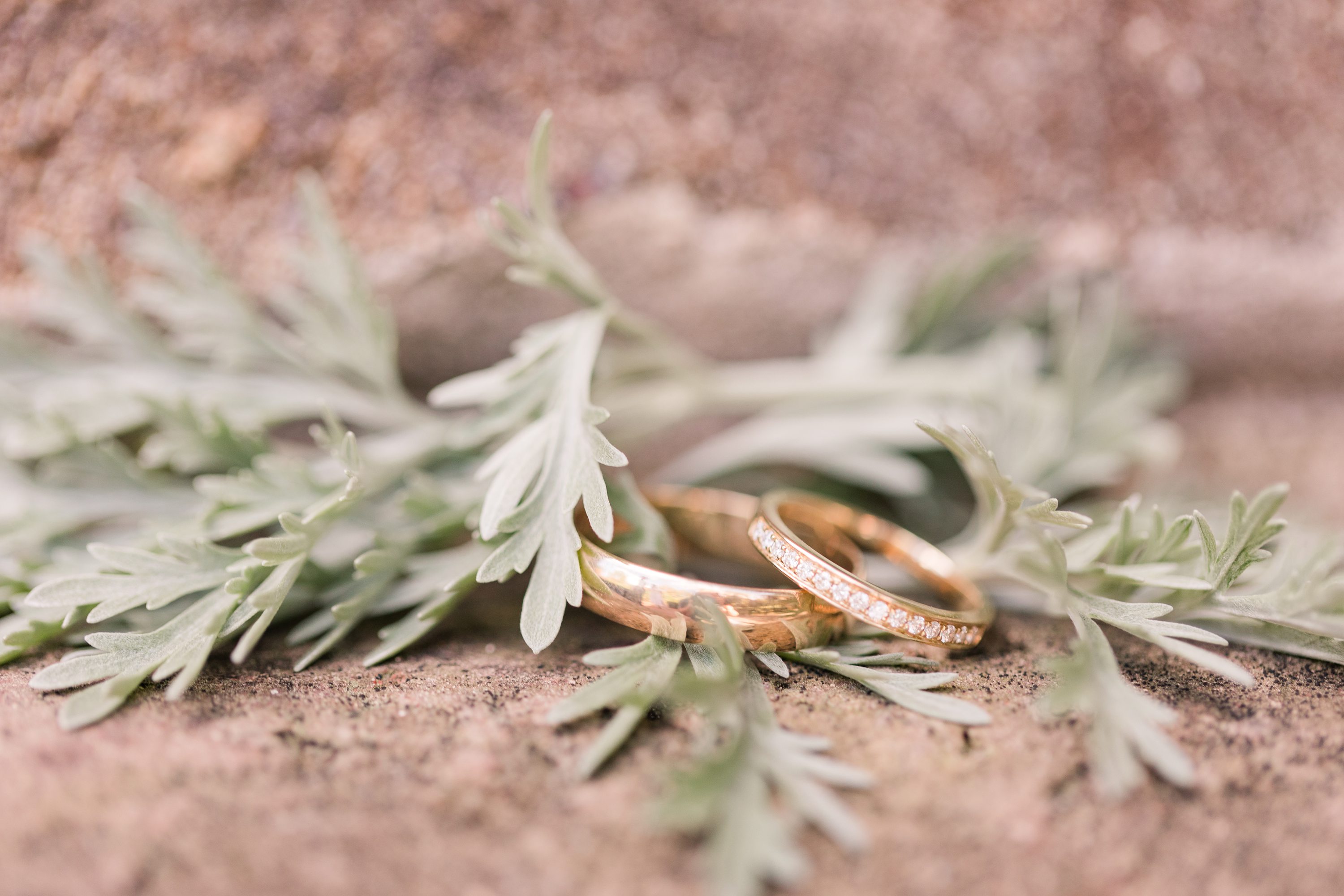 Jennifer B Photography NC,Pinehurst Wedding Photographer