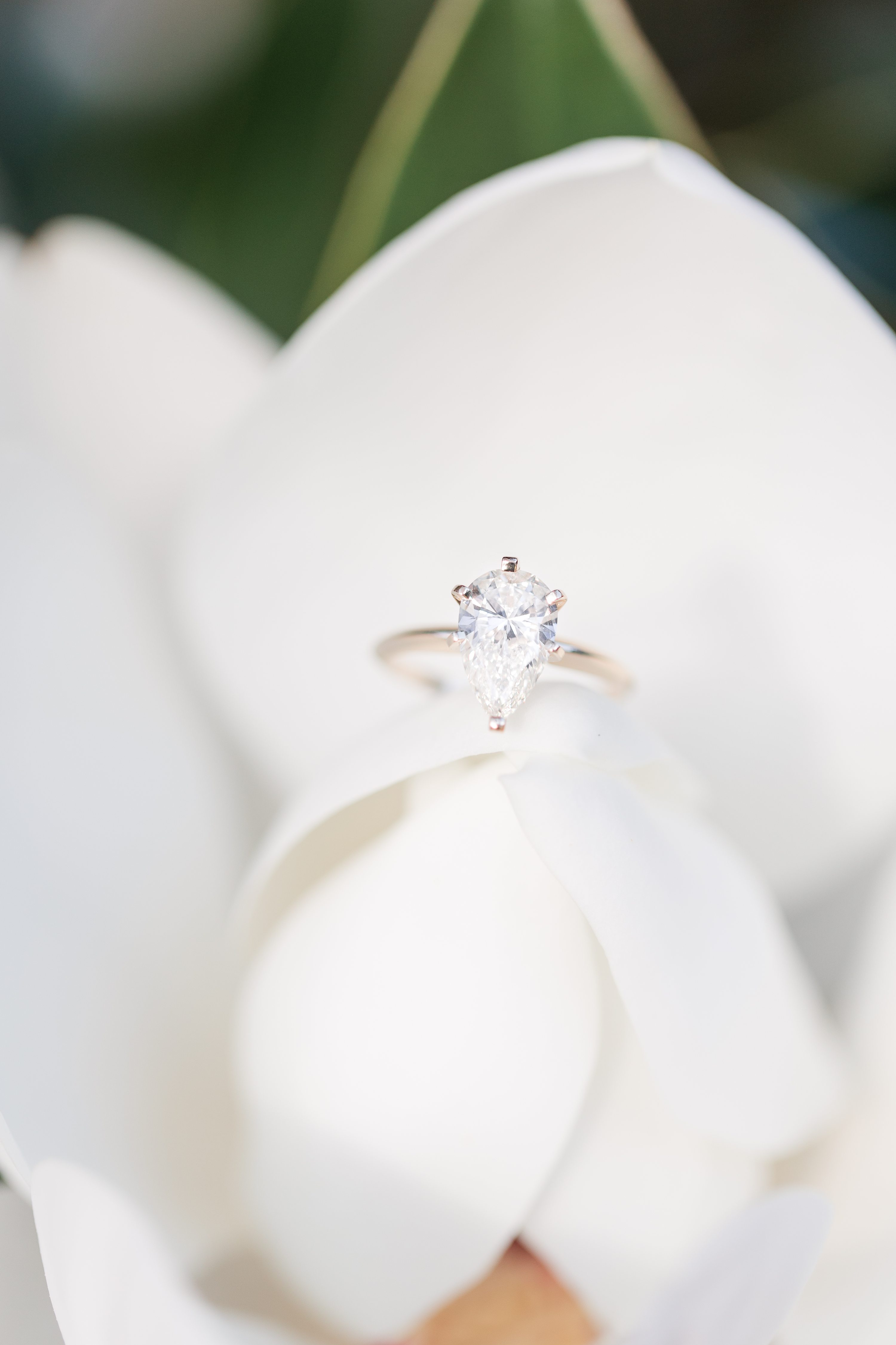 Jennifer B Photography,Southern Pines Wedding Photographer