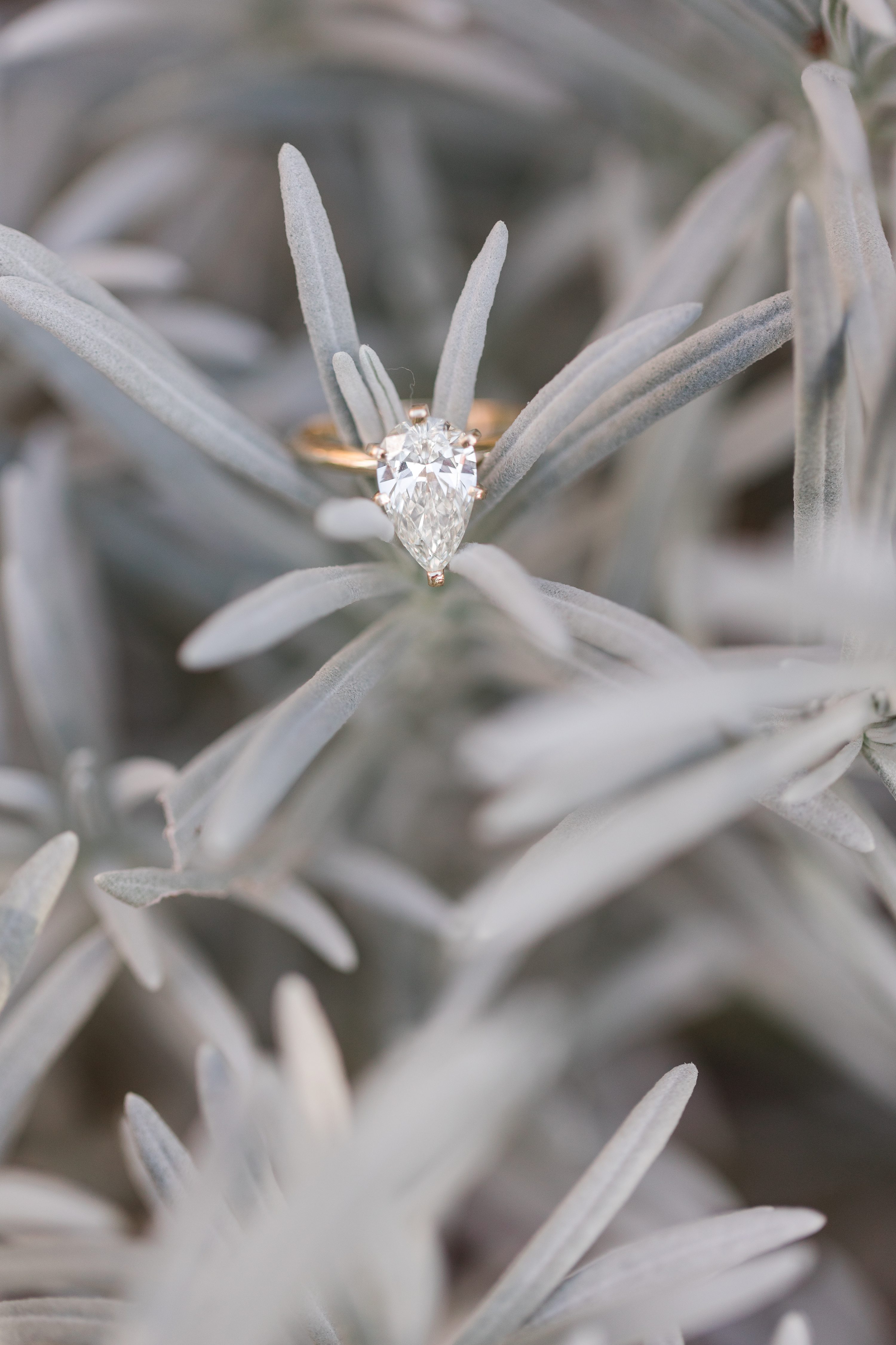 Jennifer B Photography,Southern Weddings