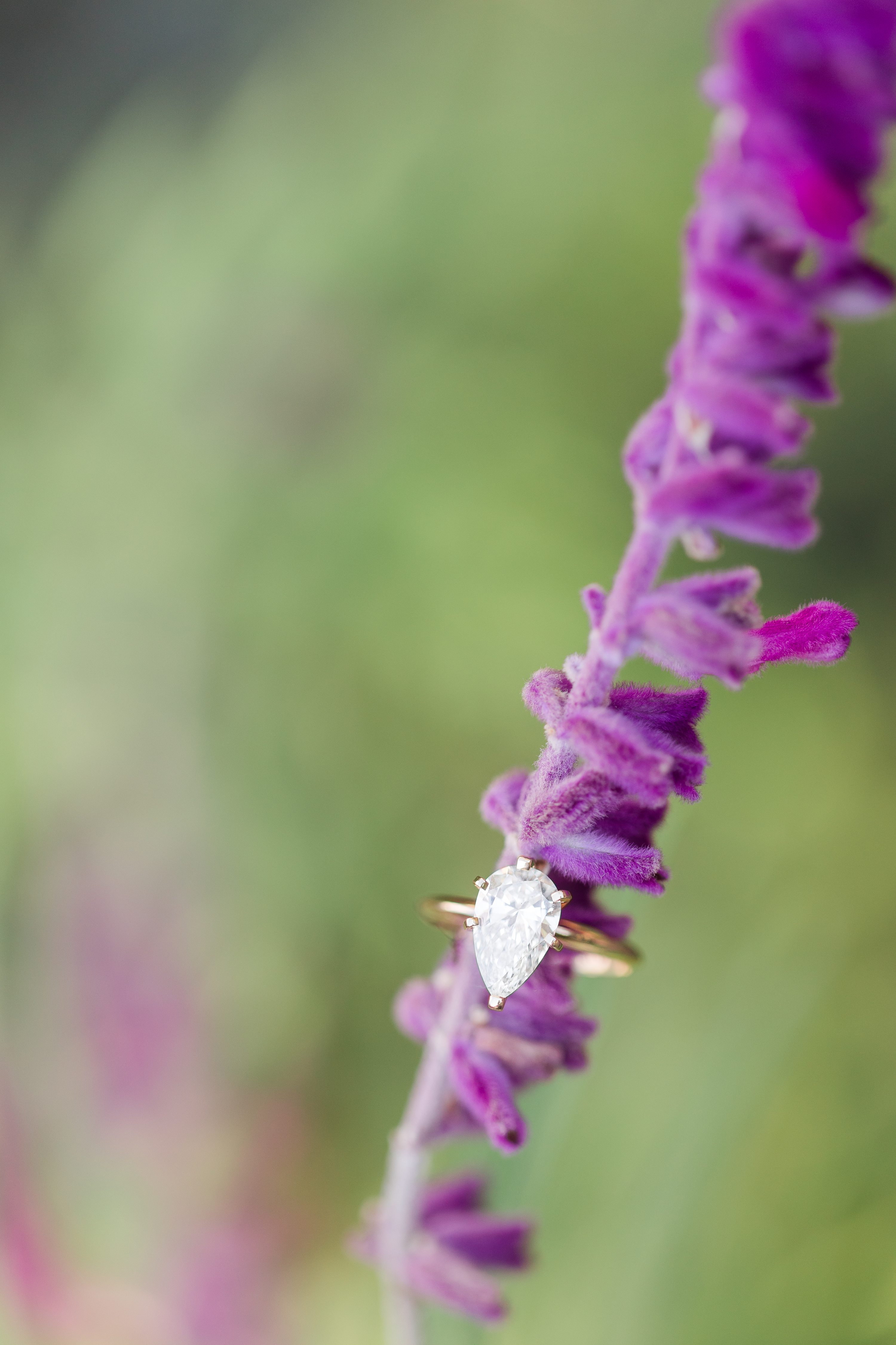 Southern Pines Wedding Photographer,Southern Pines NC Weddings