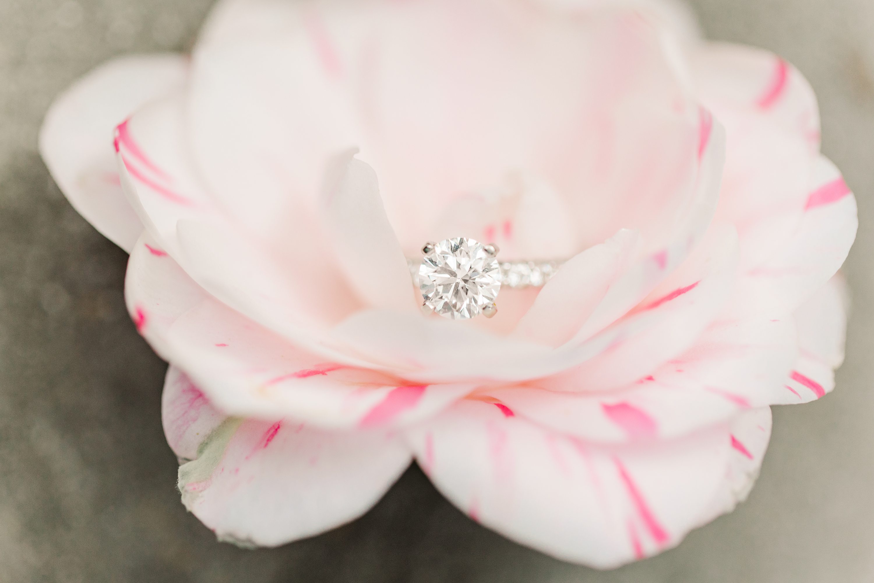 Southern Weddings,NC Wedding Photographer