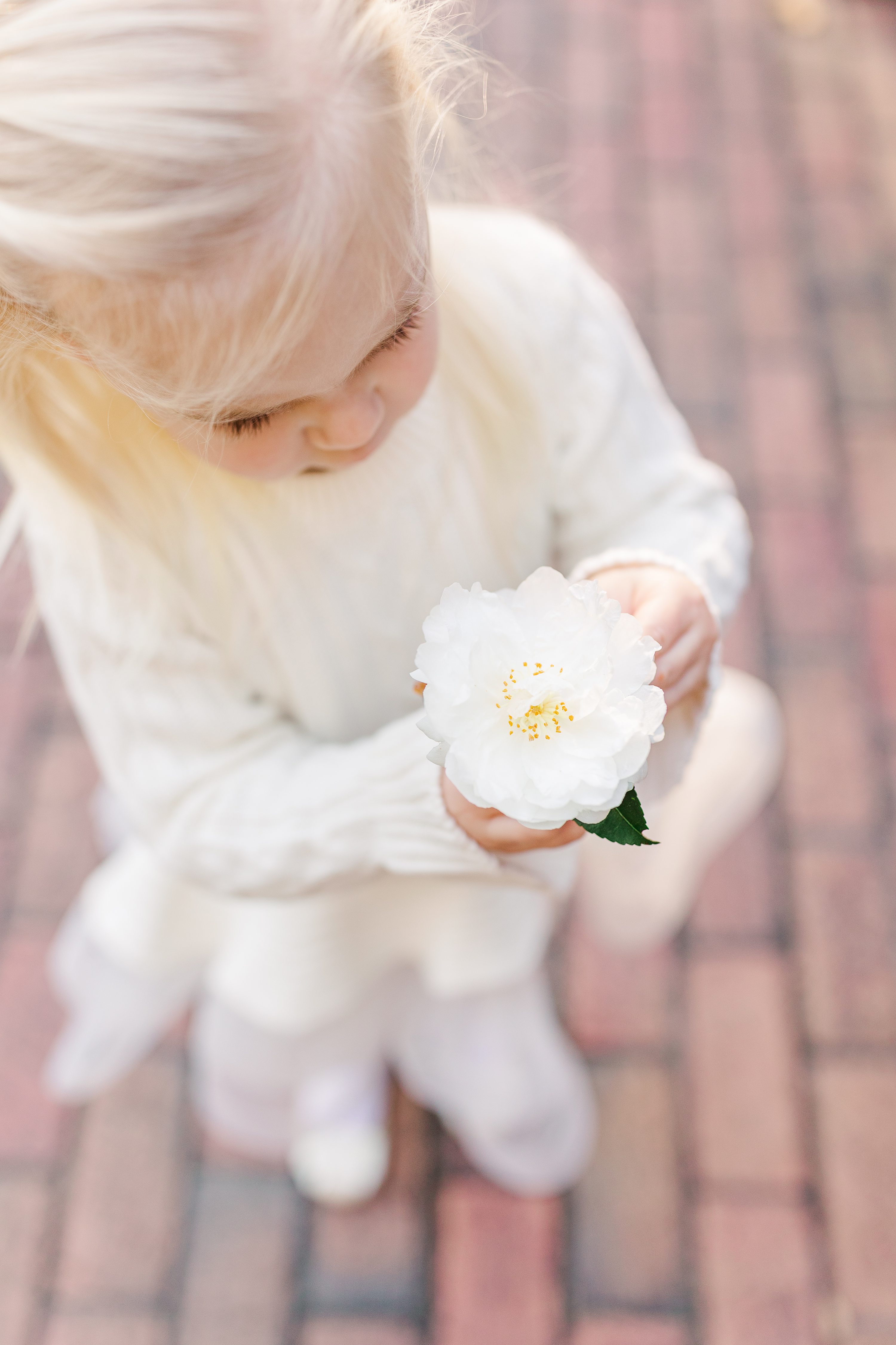 NC Wedding Photographer,Pinehurst NC Weddings