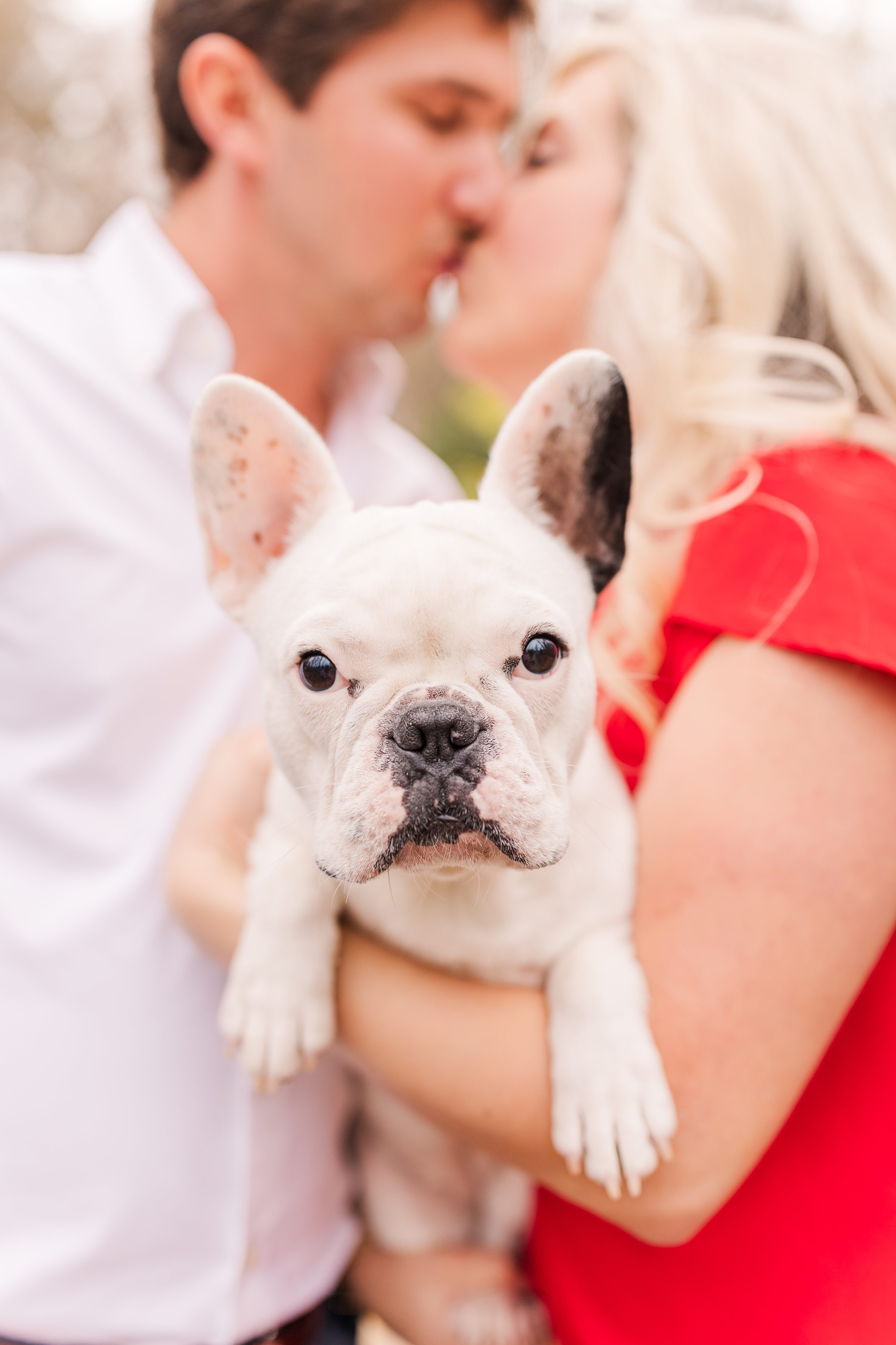 NC Wedding Photographer,NC Wedding Photographer