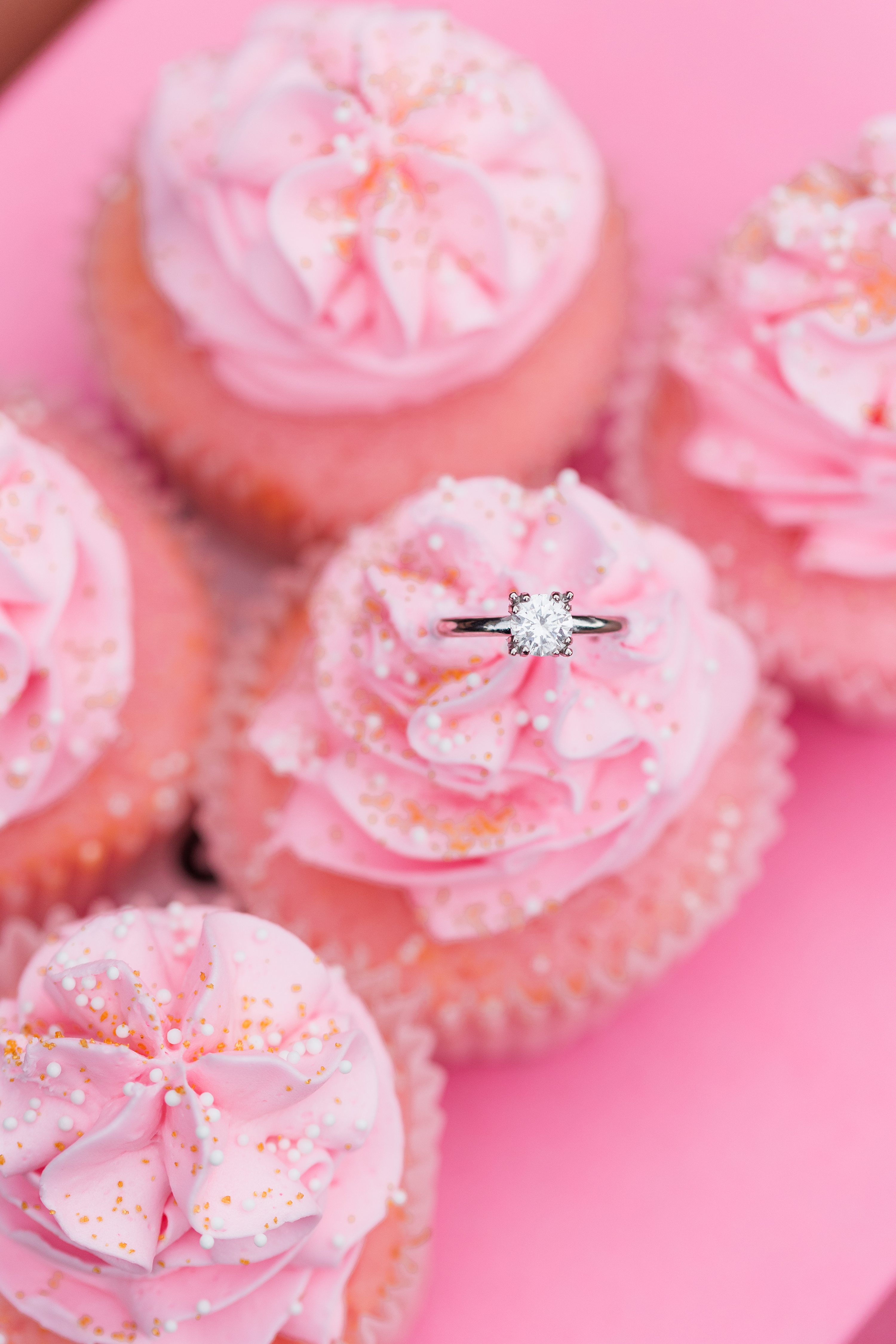 Southern Pines Wedding Photographer,Southern Weddings