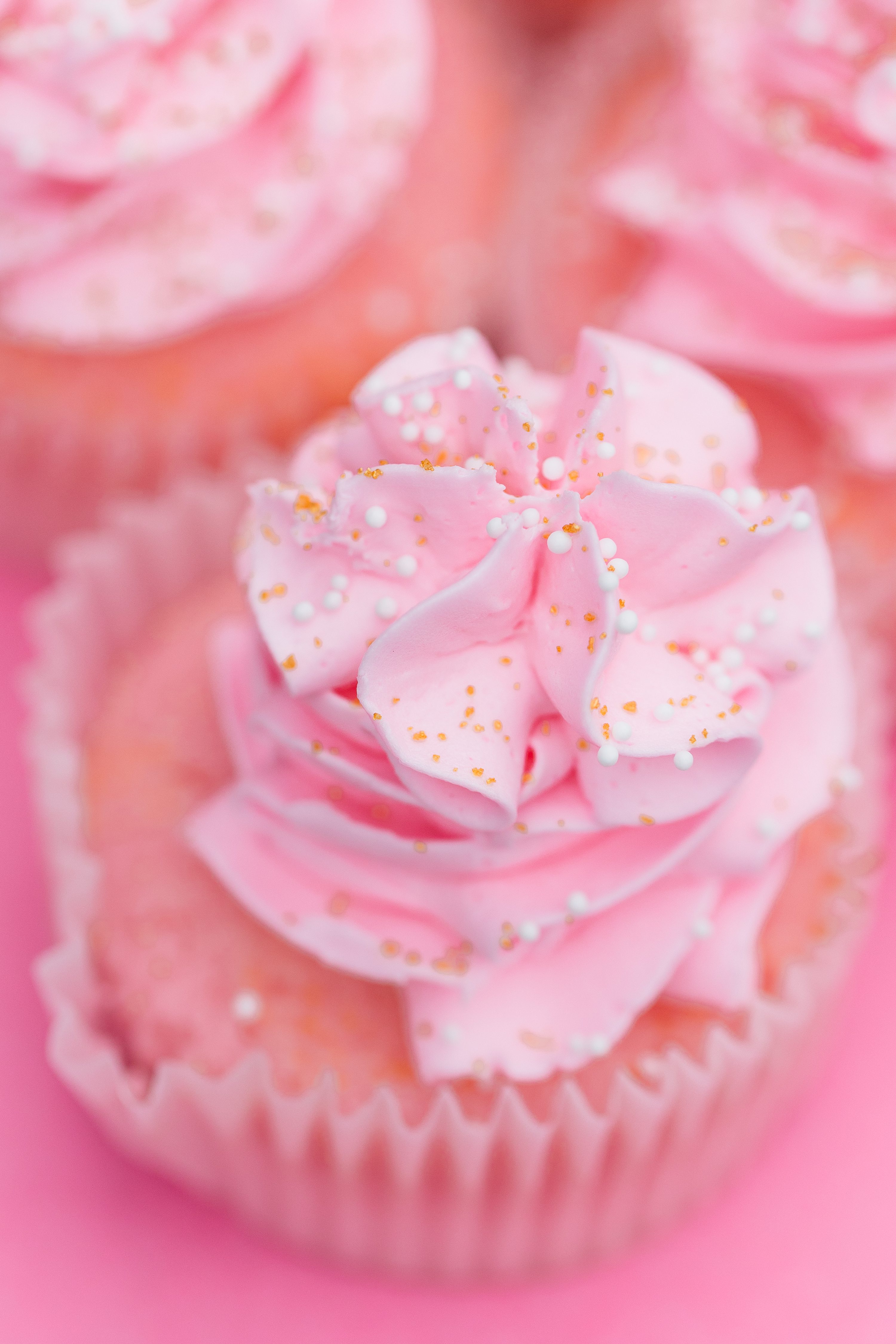 Pinehurst Wedding Photographer