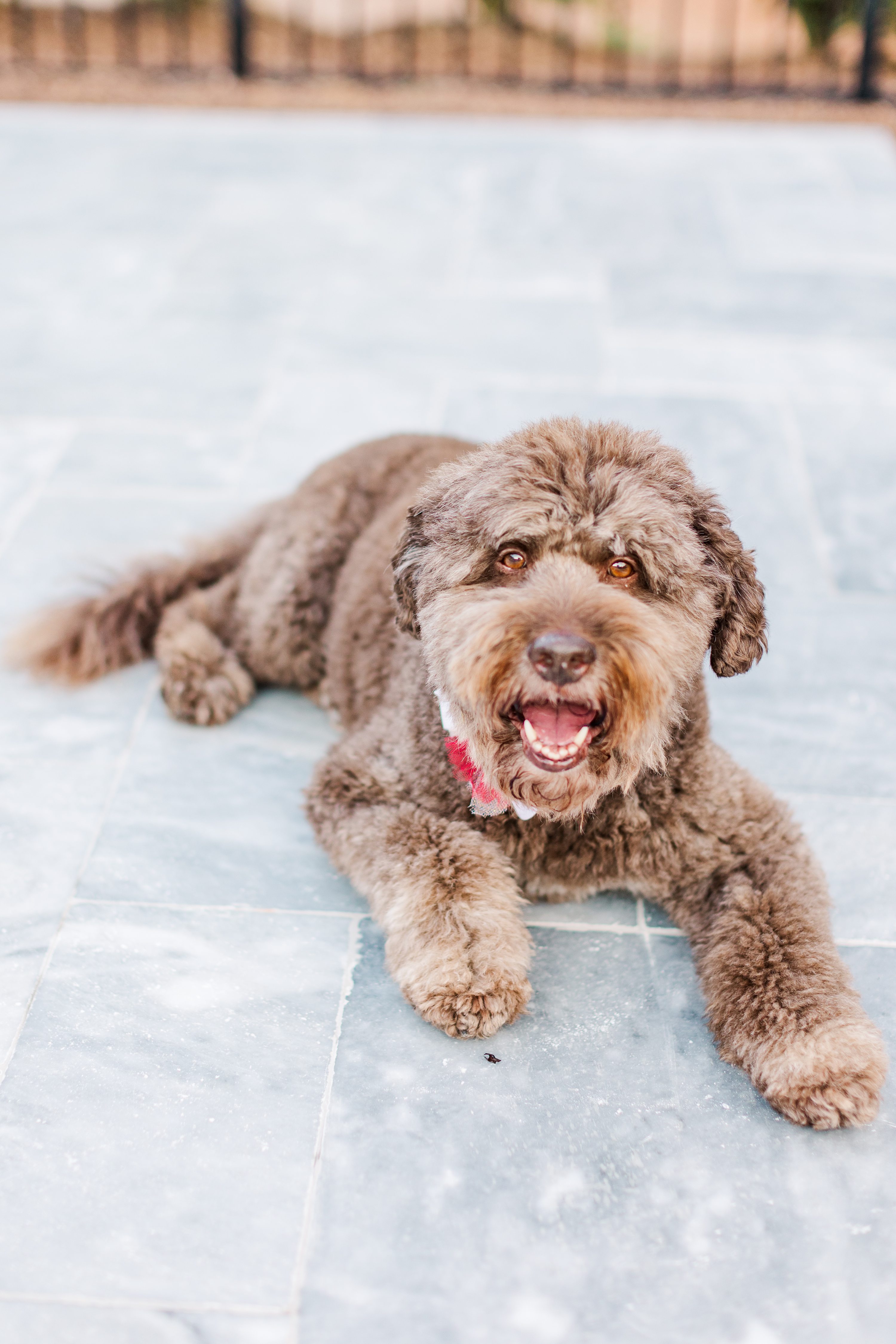 Southern Pines Wedding Photographer