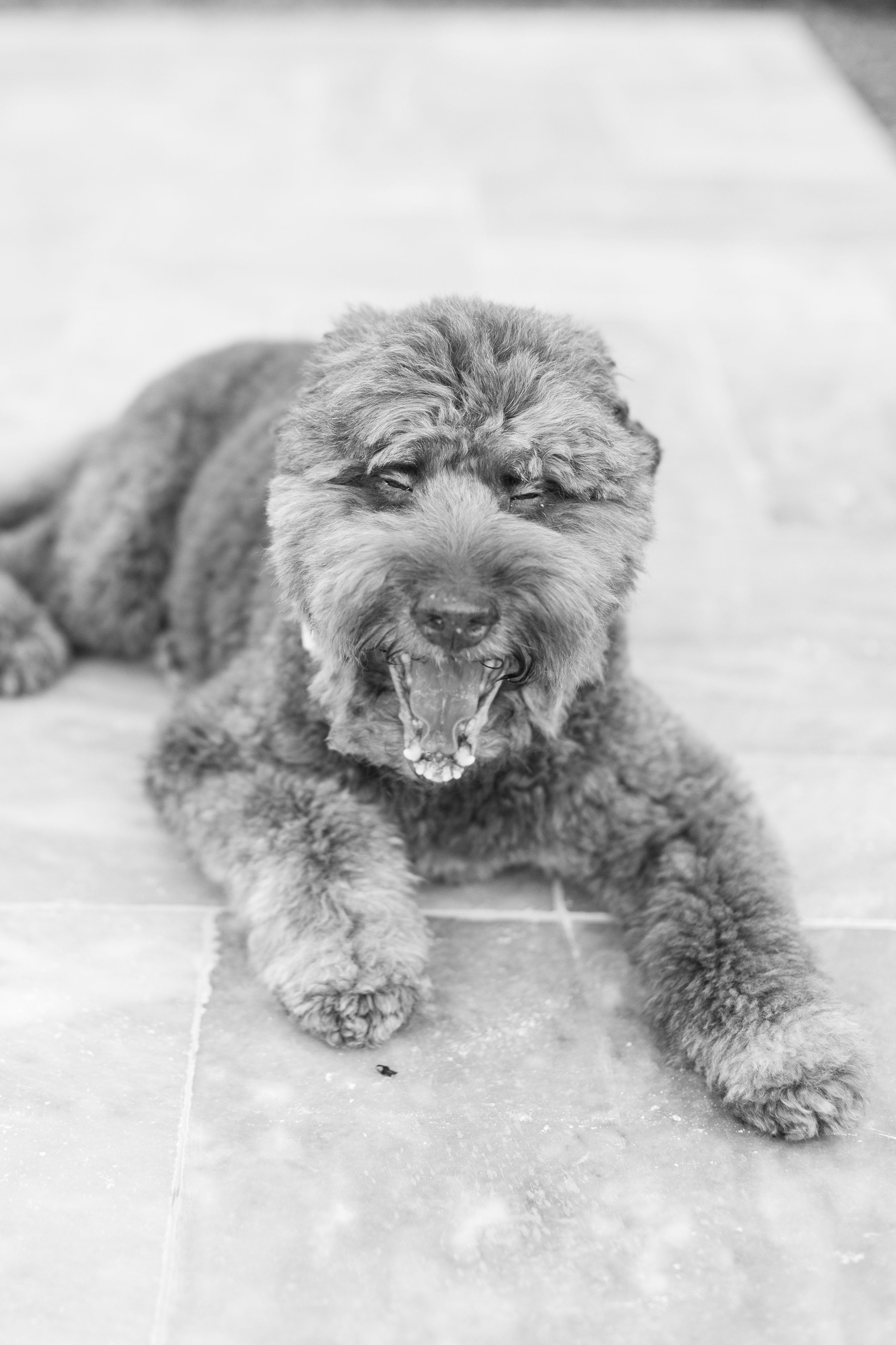 Jennifer B Photography NC