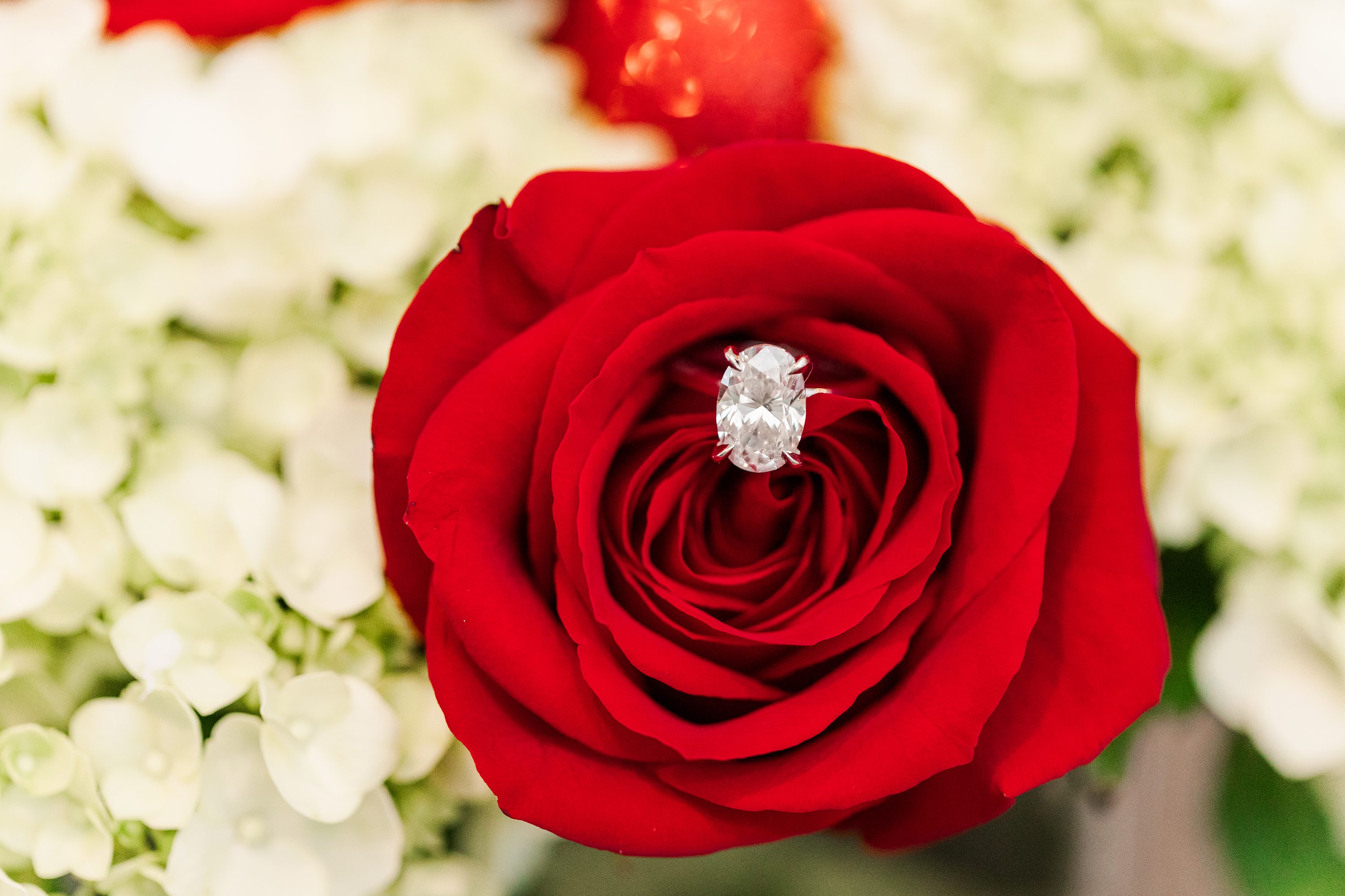 Southern Pines Wedding Photographer,NC Wedding Photographer