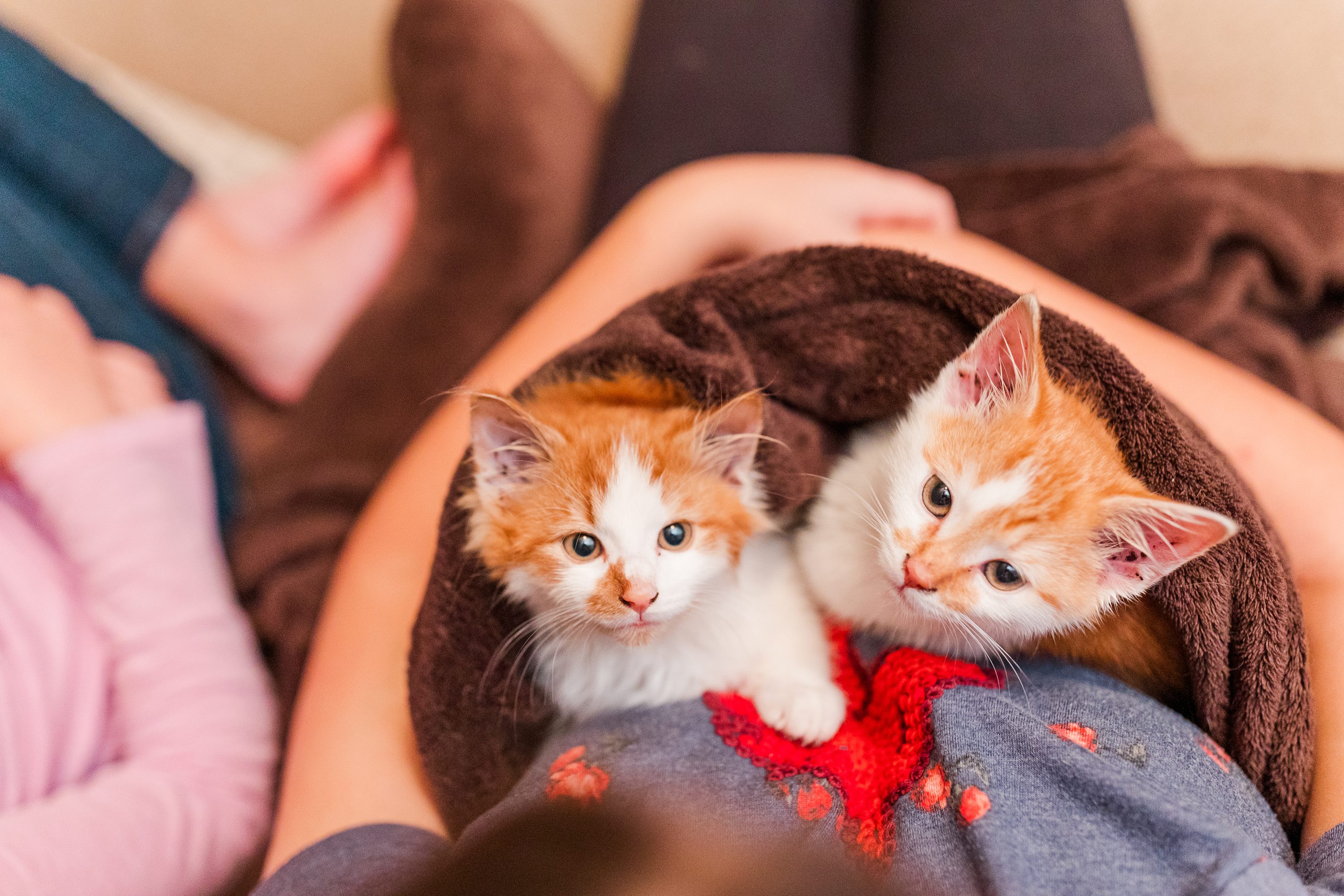 Pinehurst Wedding Photographer,Southern Pines NC Weddings