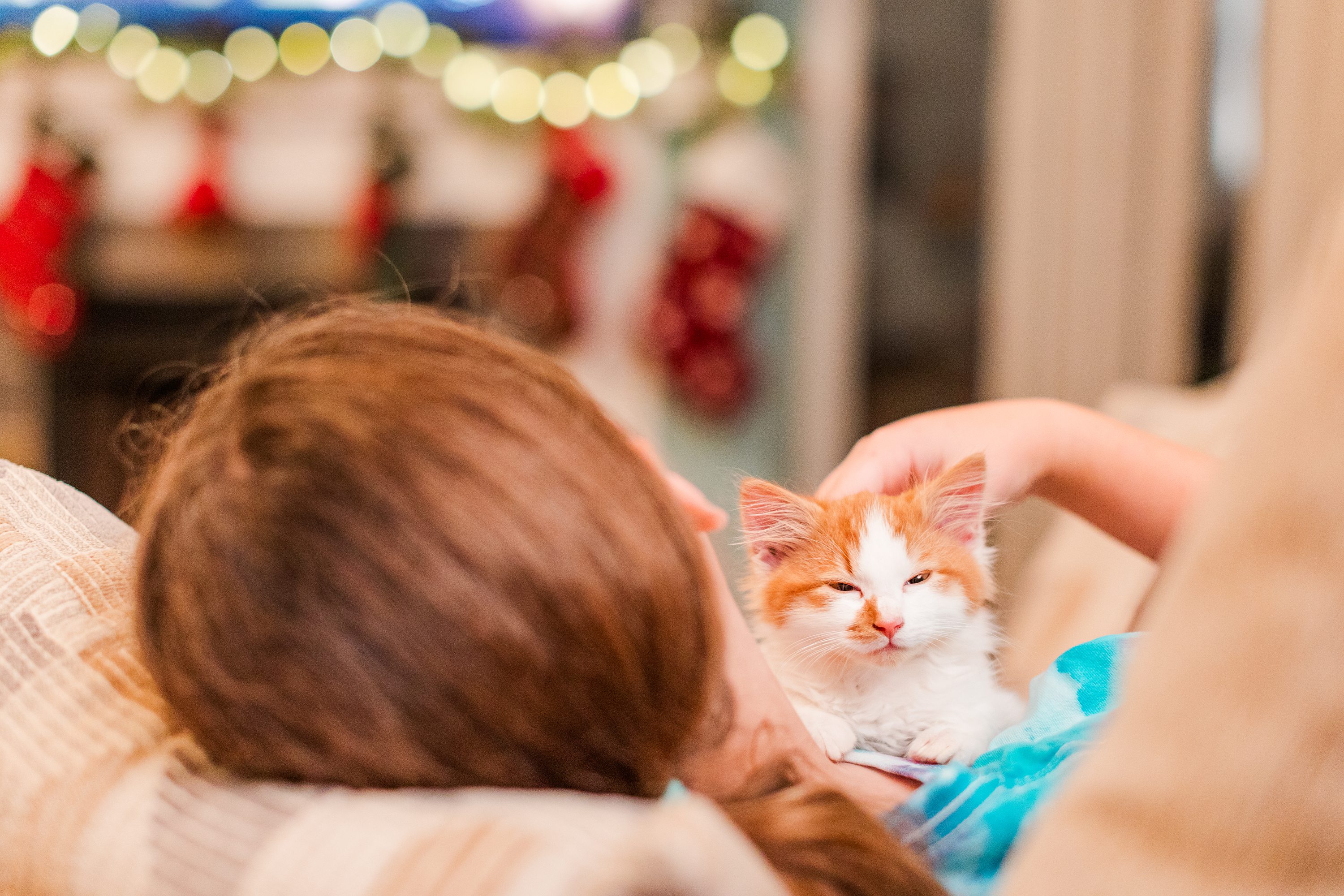 Jennifer B Photography,Southern Pines NC