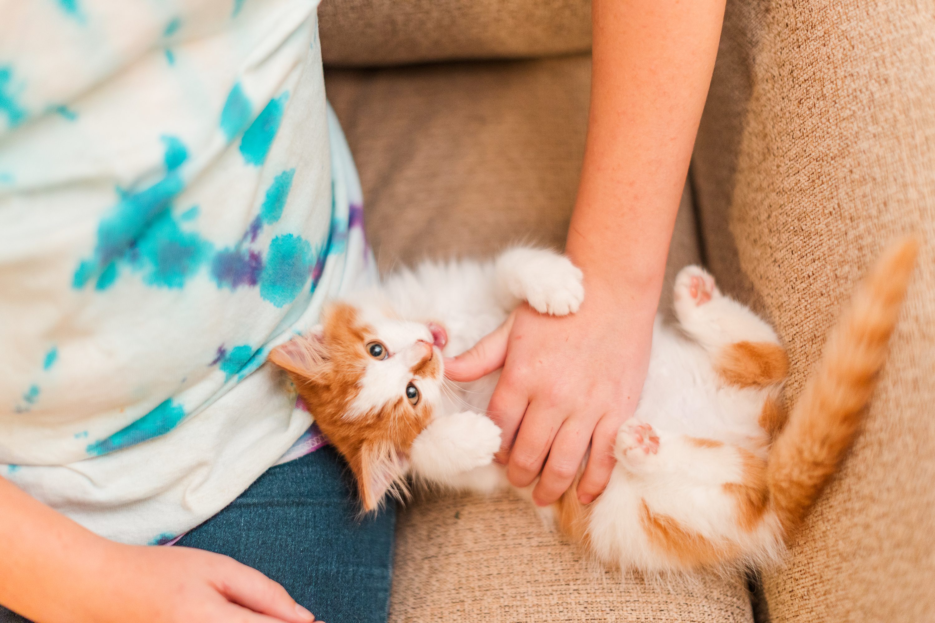 Jennifer B Photography NC,NC Wedding Photographer